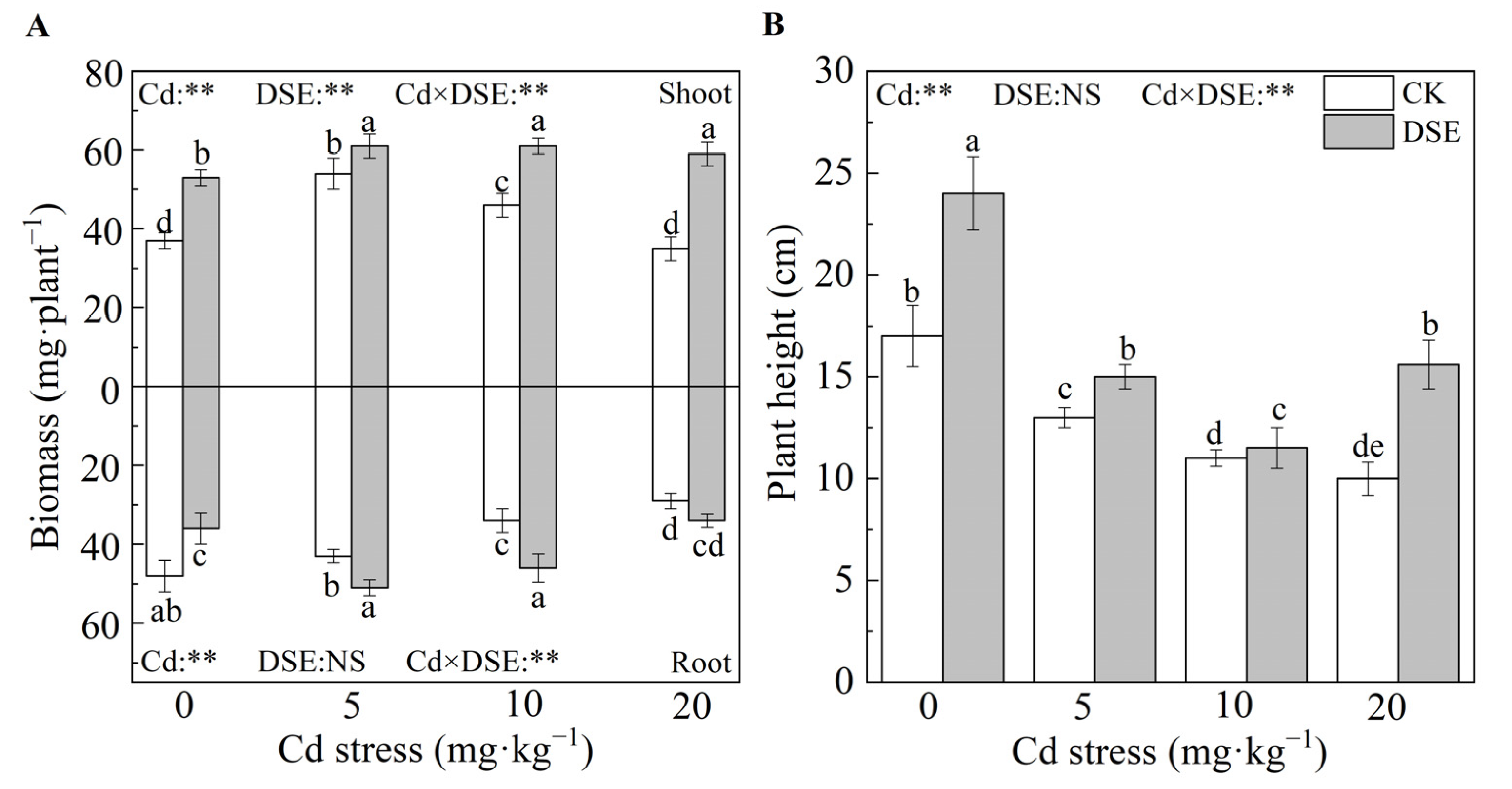 Jof 09 00531 g001 Jof 09 00531 g001