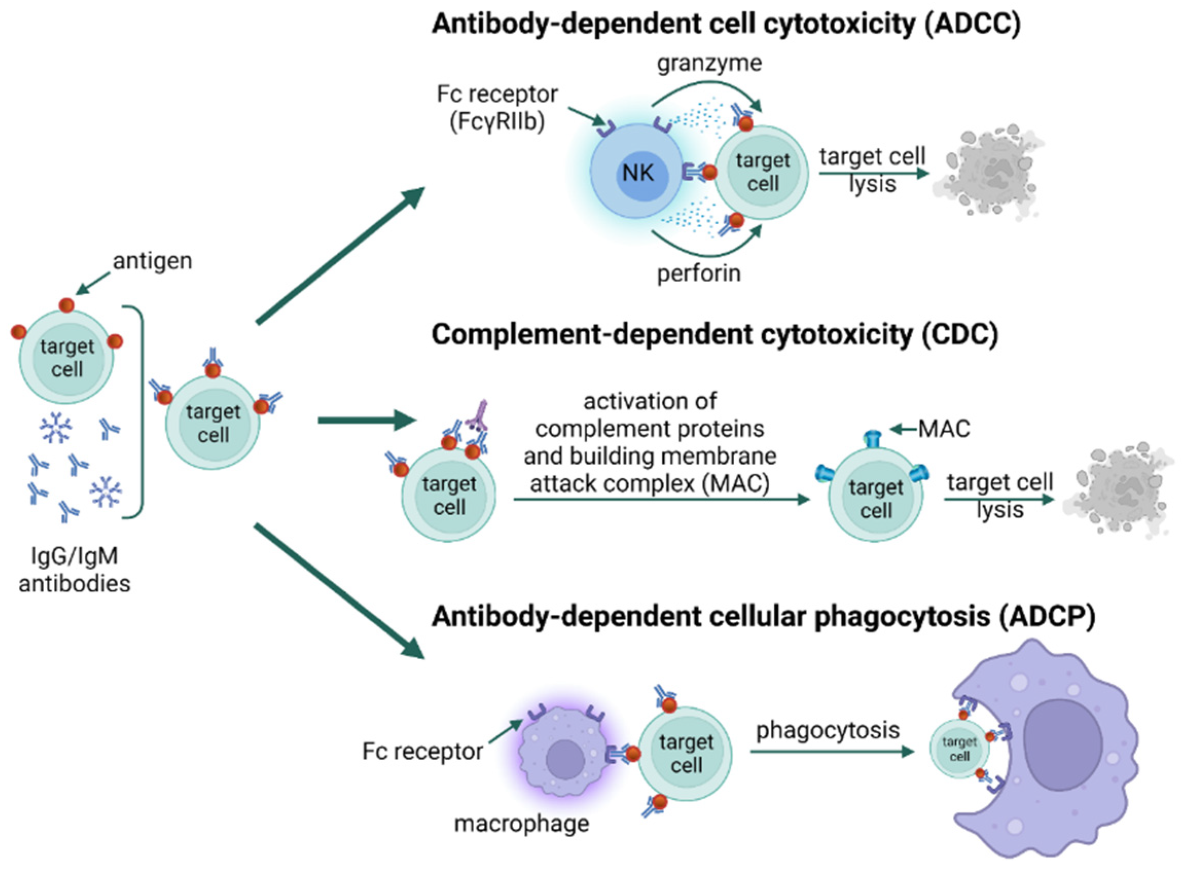 Jof 09 00544 g002 Jof 09 00544 g002