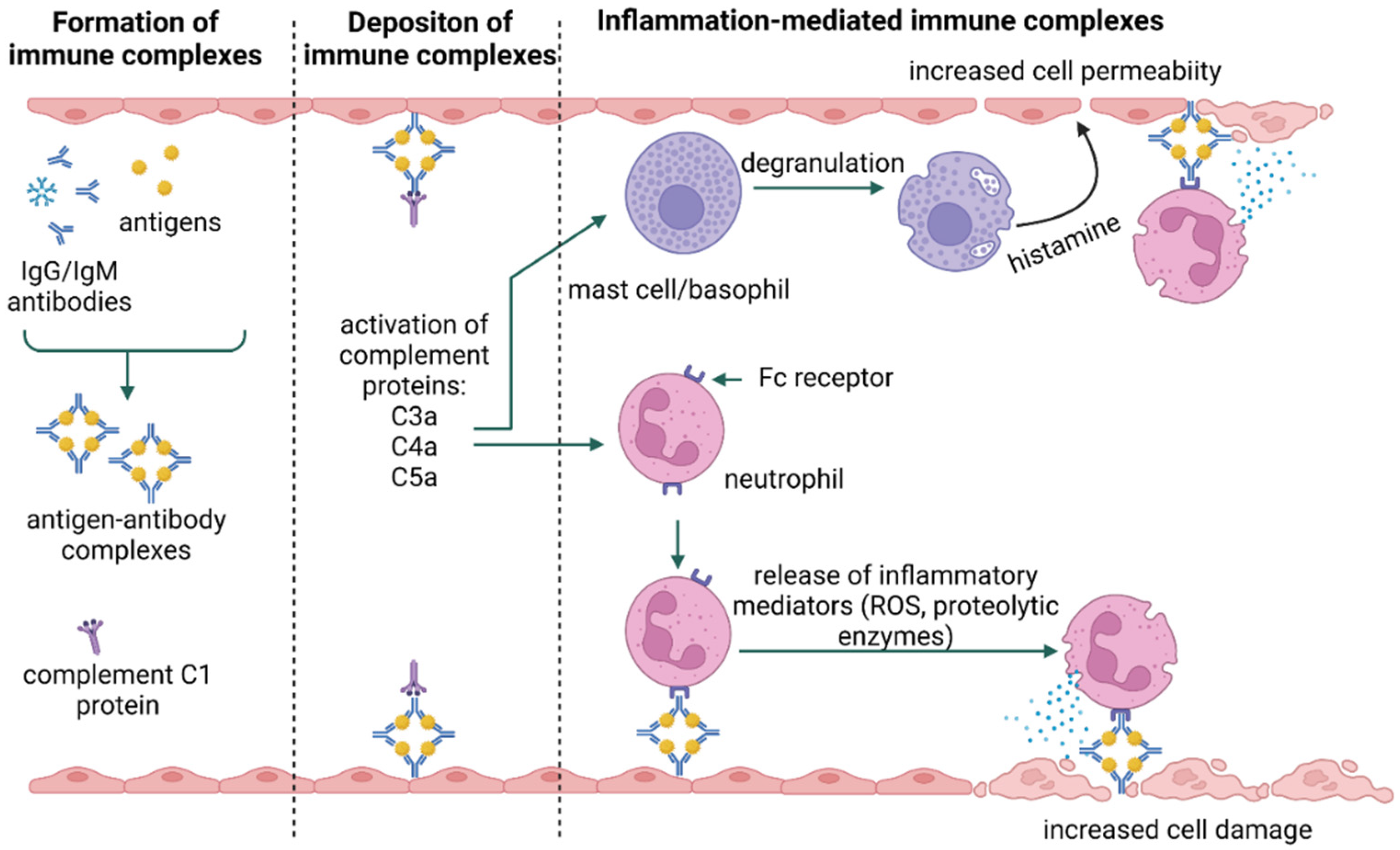 Jof 09 00544 g003 Jof 09 00544 g003