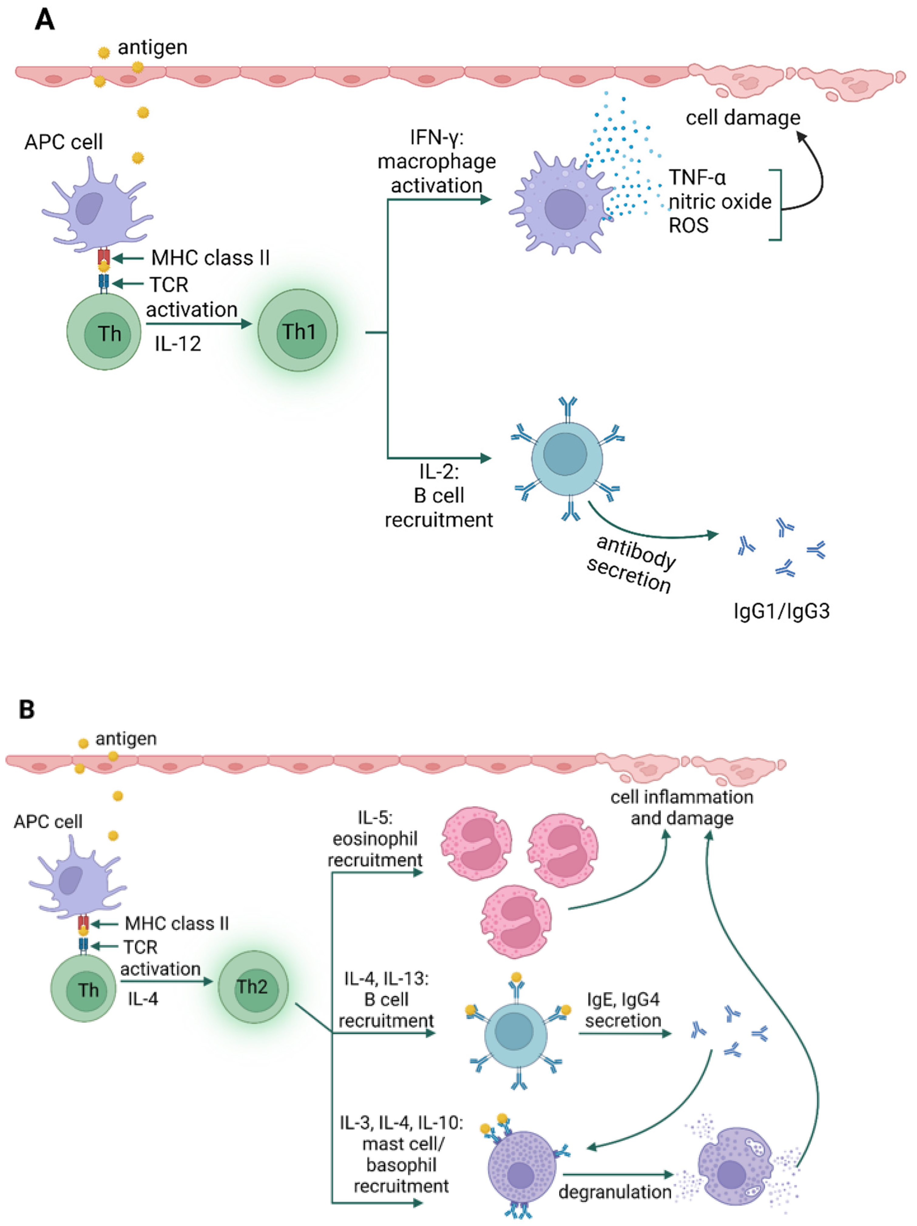 Jof 09 00544 g004a Jof 09 00544 g004a