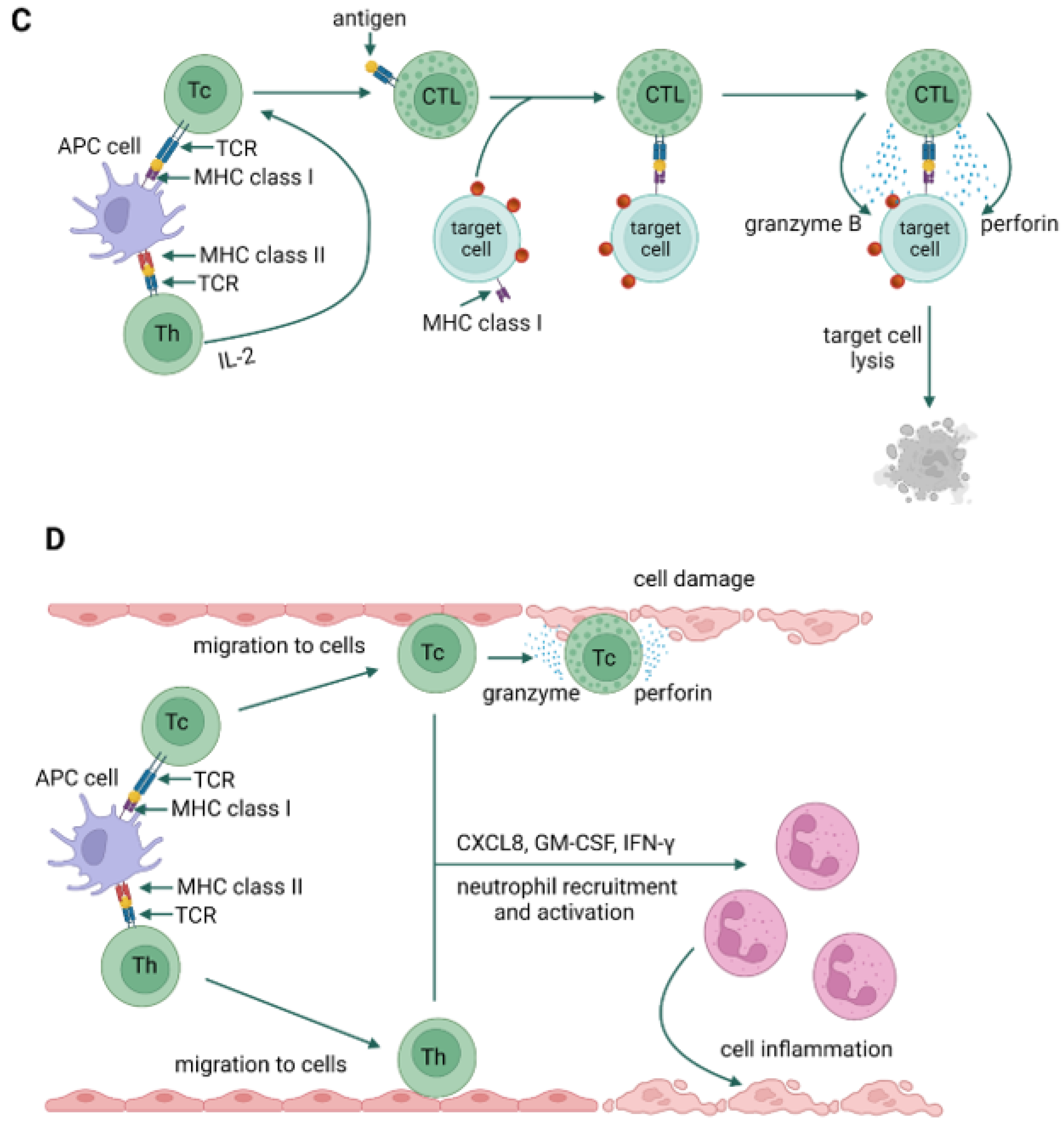 Jof 09 00544 g004b Jof 09 00544 g004b