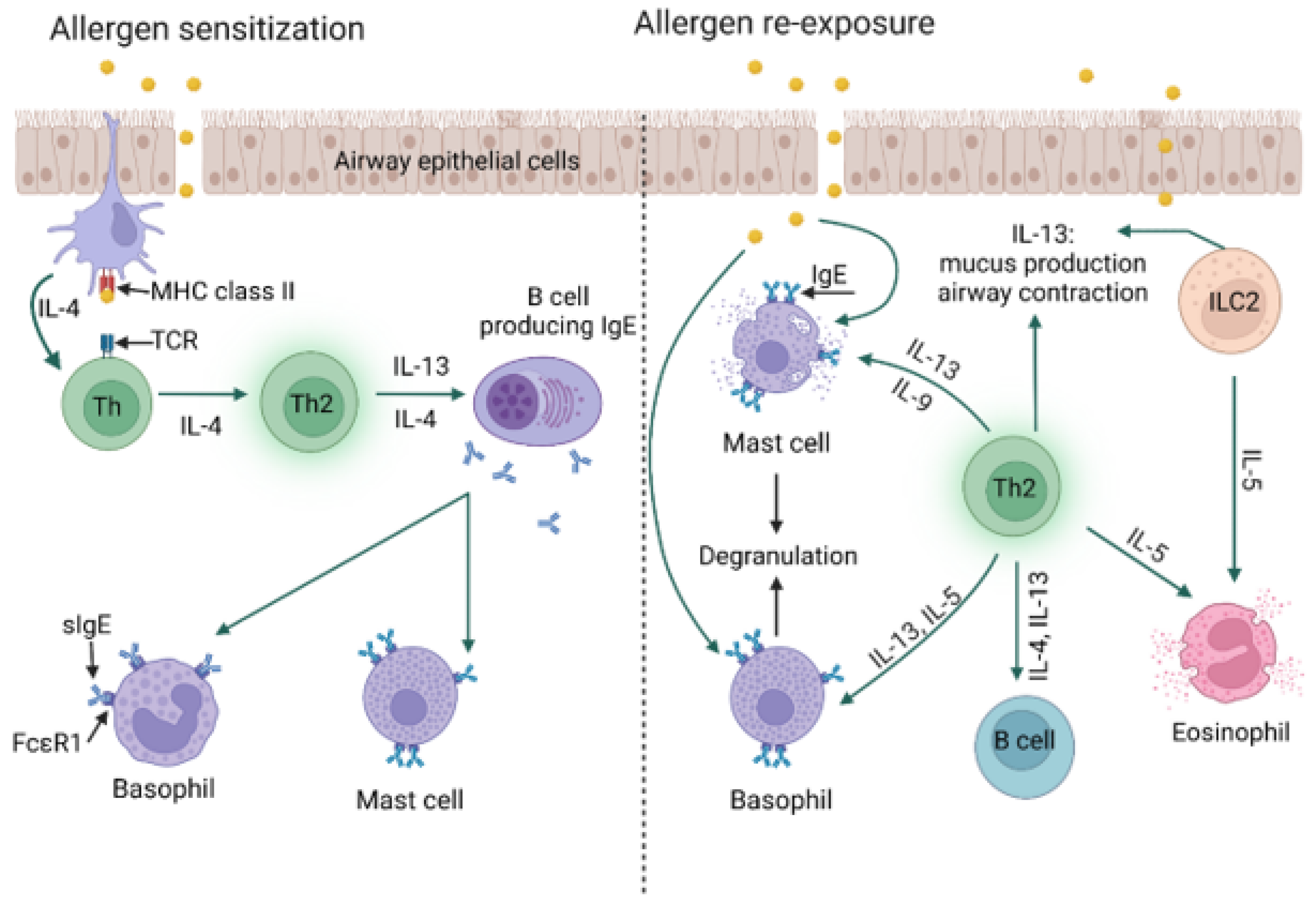 Jof 09 00544 g005 Jof 09 00544 g005