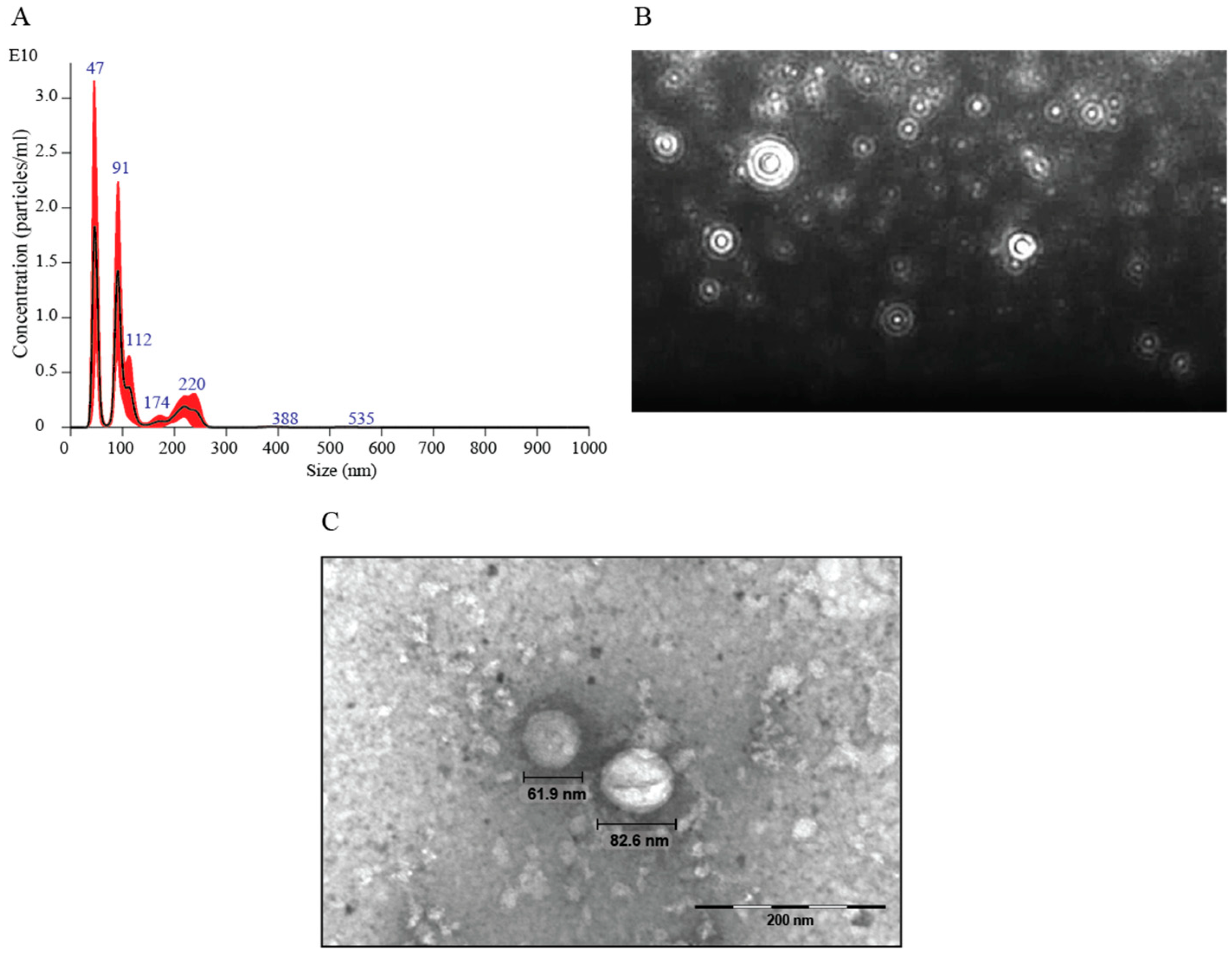 Jof 09 00562 g001 Jof 09 00562 g001