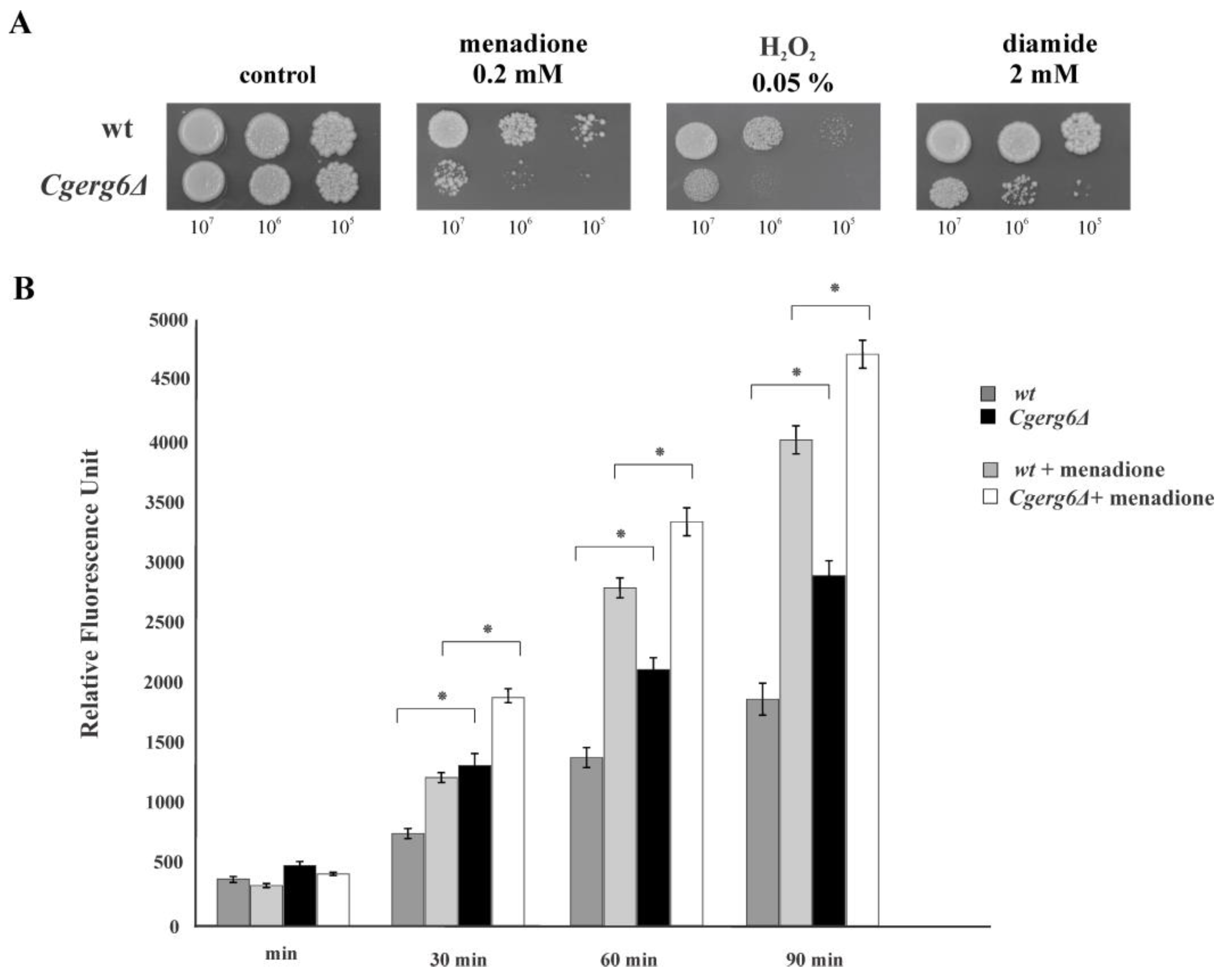 Jof 09 00579 g001 Jof 09 00579 g001