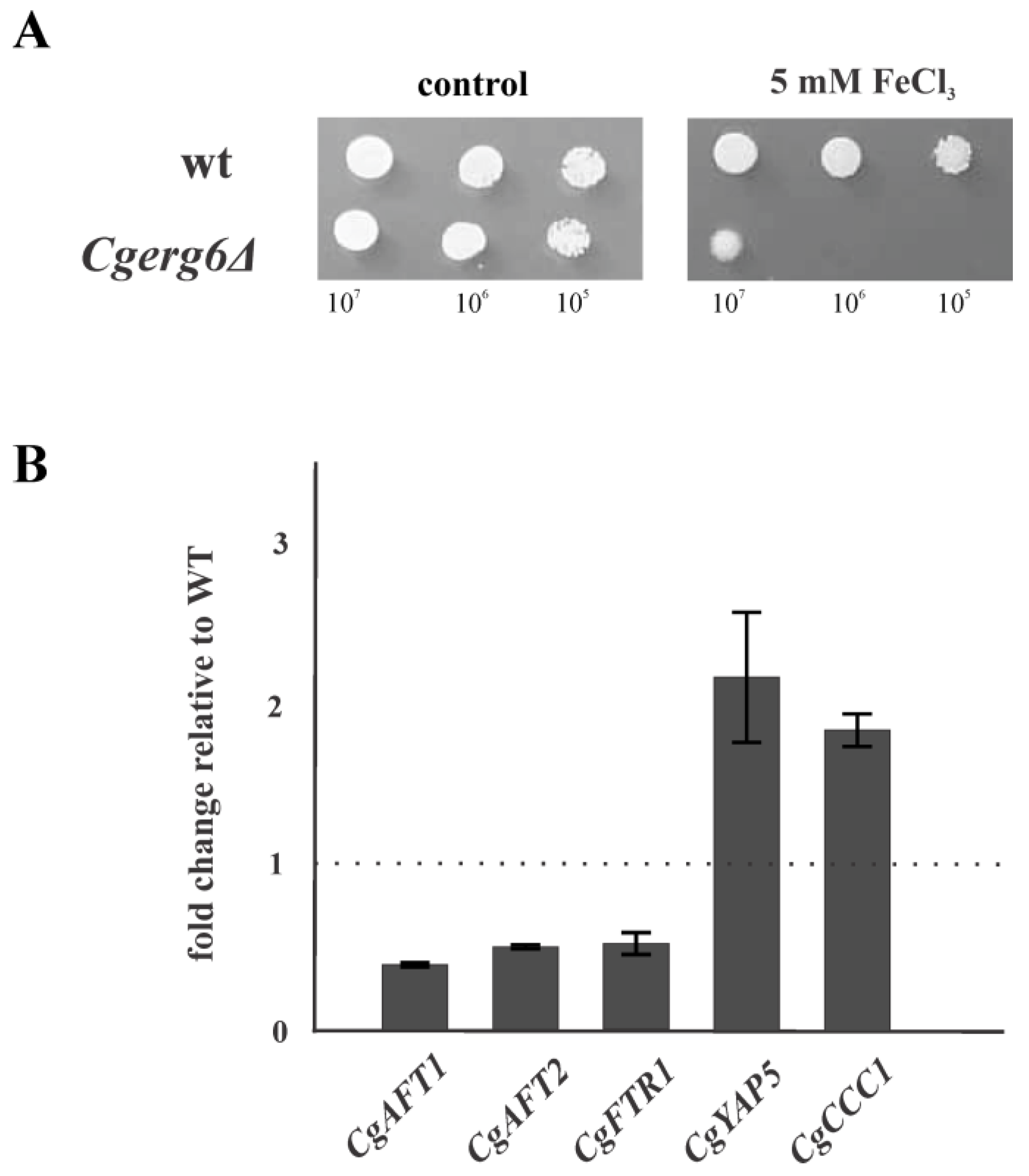 Jof 09 00579 g004 Jof 09 00579 g004