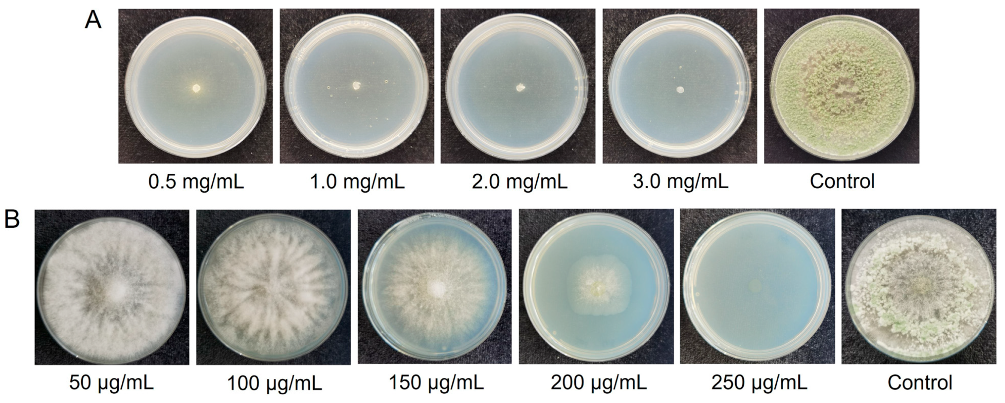 Jof 09 00595 g002 Jof 09 00595 g002