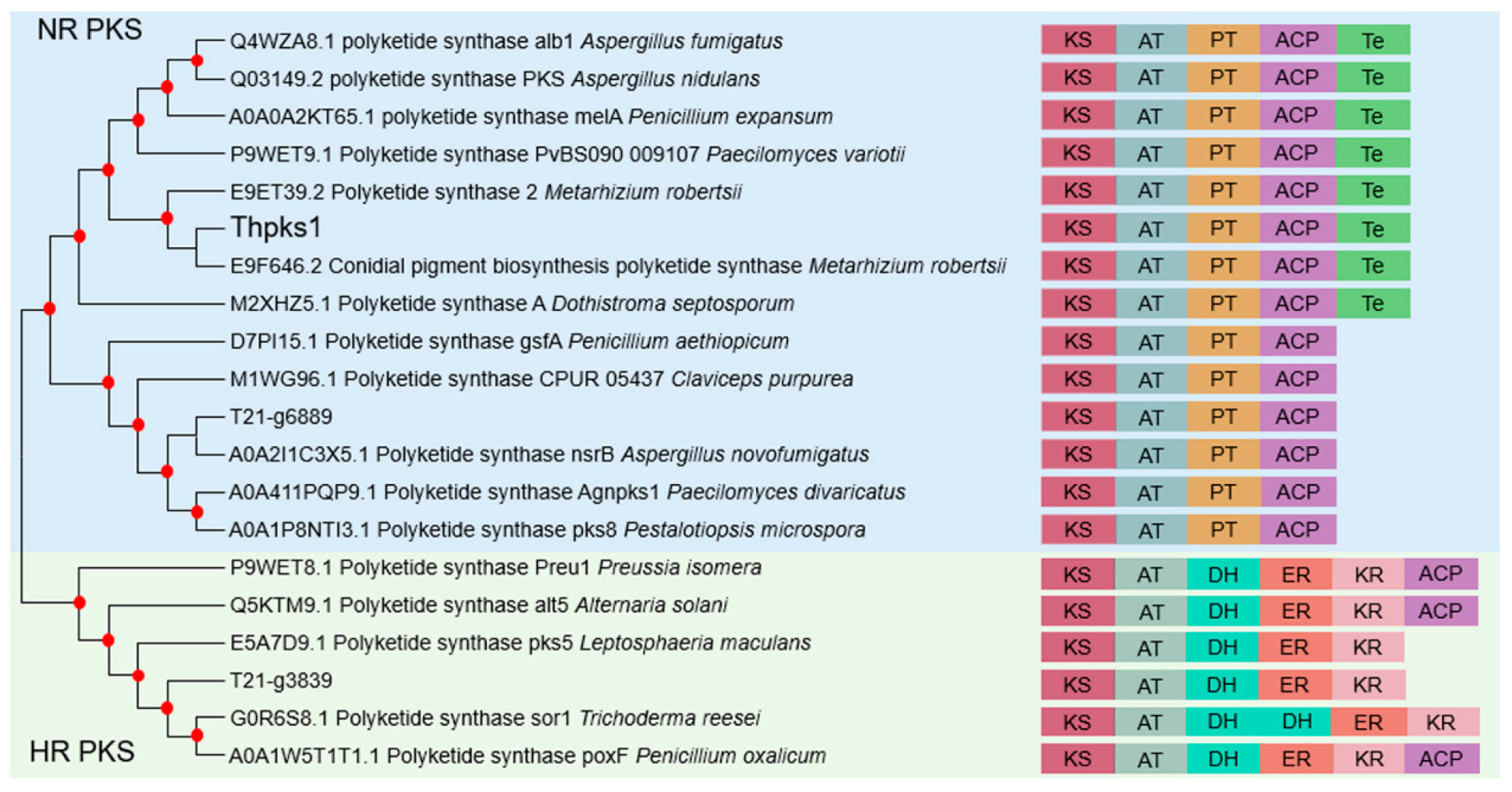 Jof 09 00595 g003 Jof 09 00595 g003