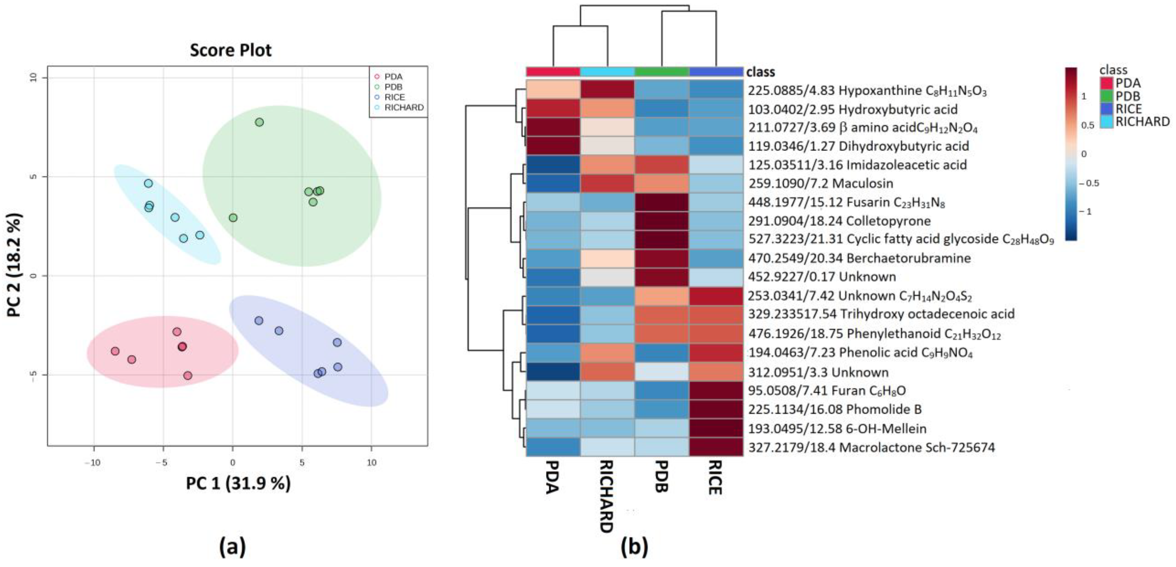 Jof 09 00610 g003 Jof 09 00610 g003