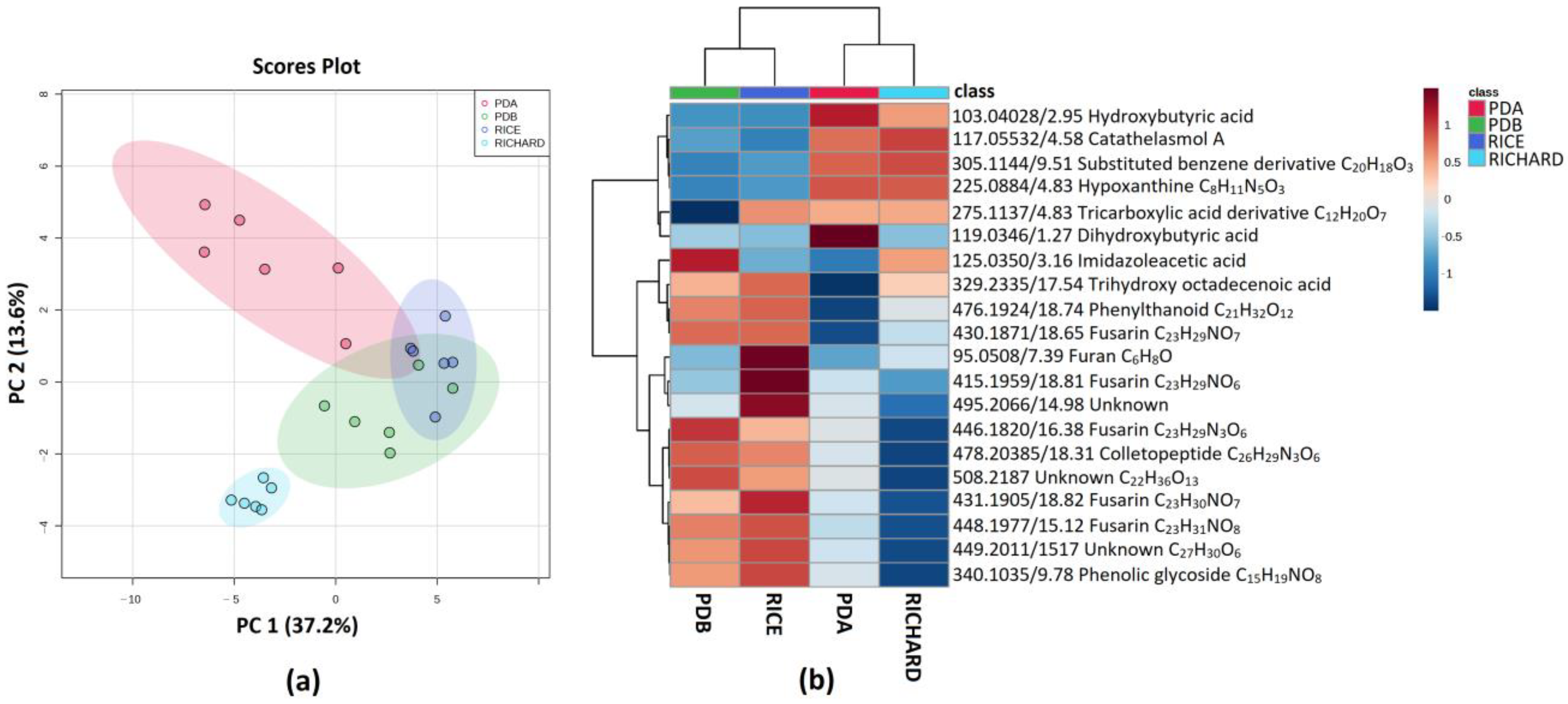 Jof 09 00610 g004 Jof 09 00610 g004