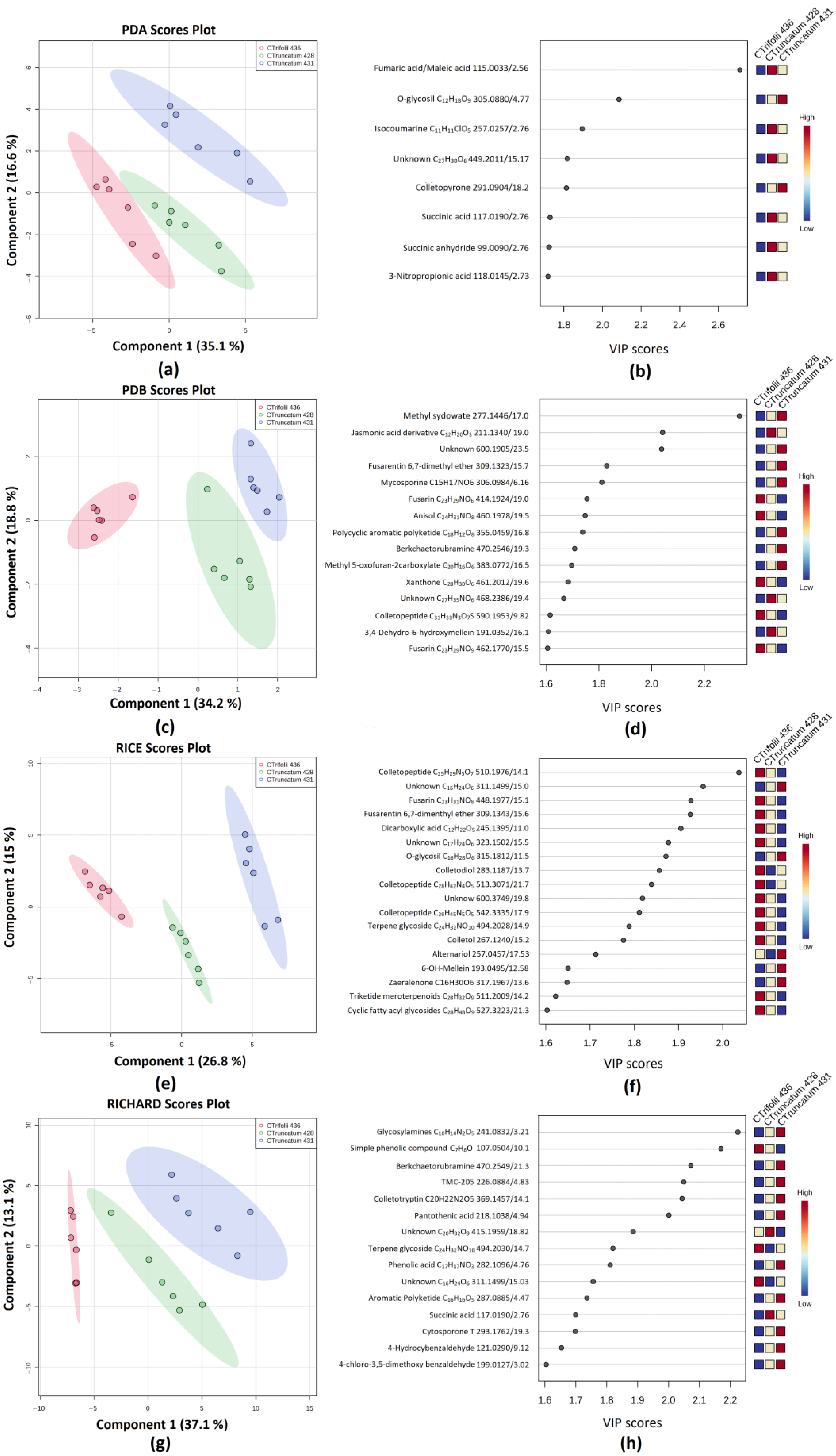 Jof 09 00610 g007 Jof 09 00610 g007