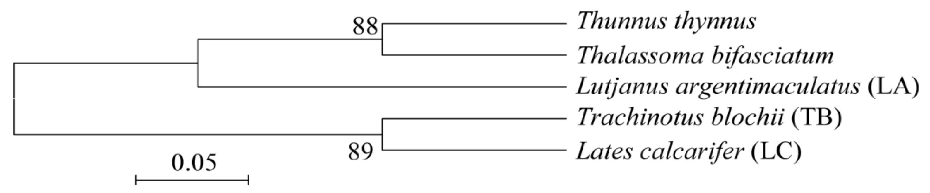 Jof 09 00613 g001 Jof 09 00613 g001