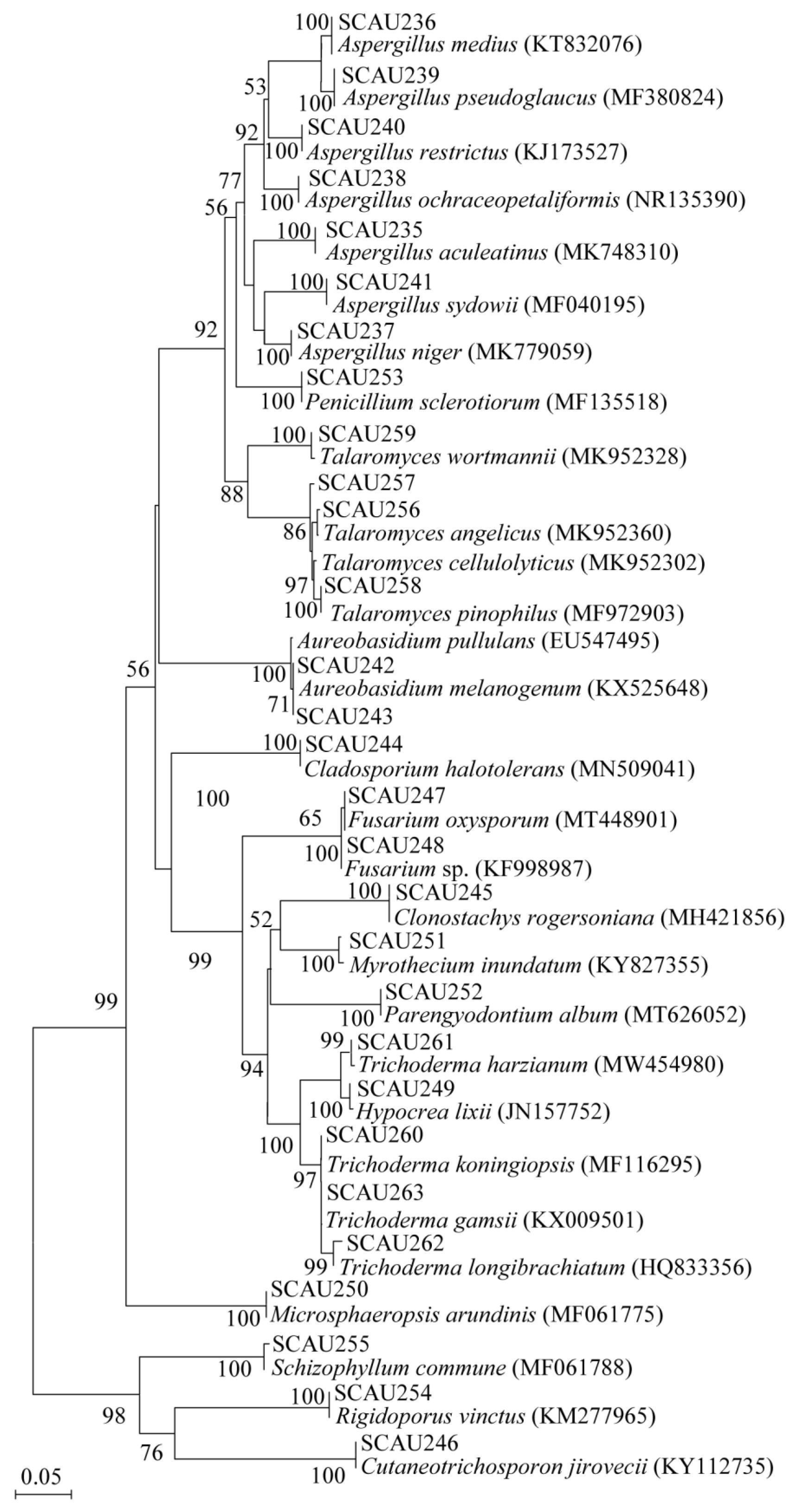 Jof 09 00613 g002 Jof 09 00613 g002