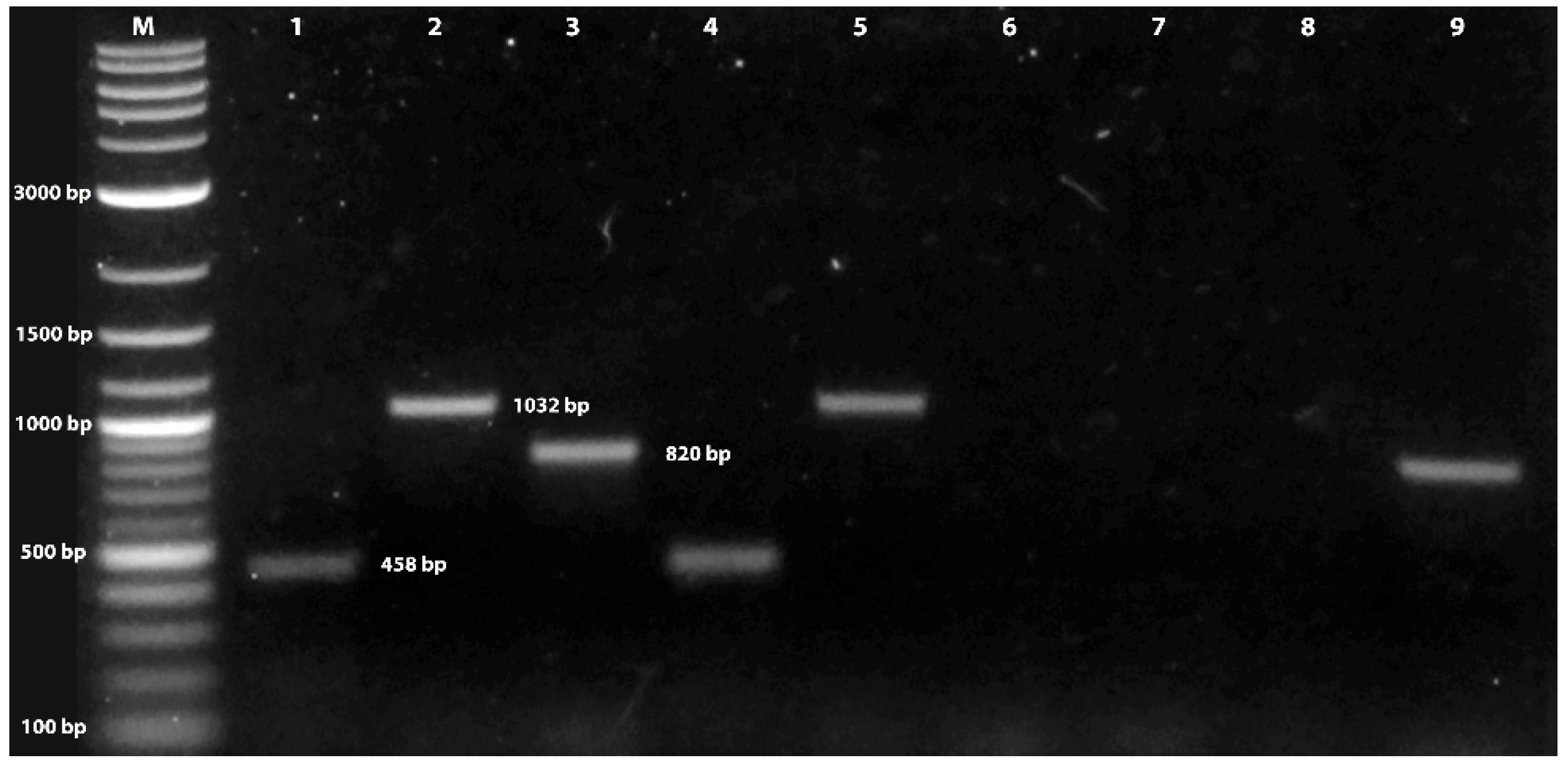 Jof 09 00614 g001 Jof 09 00614 g001