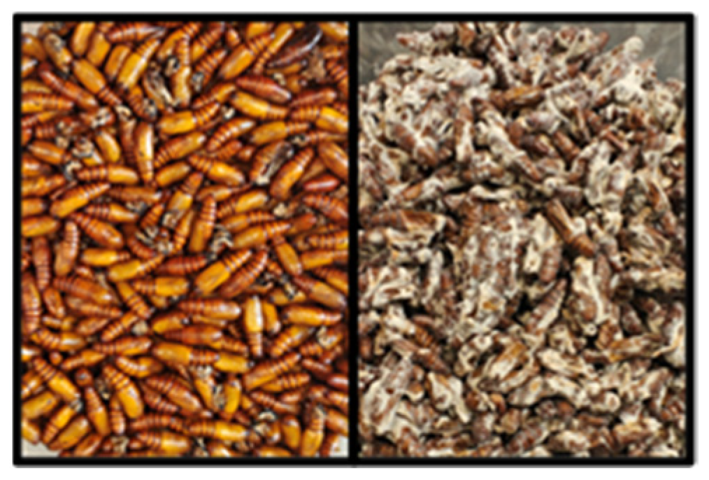 Jof 09 00614 g008 Jof 09 00614 g008