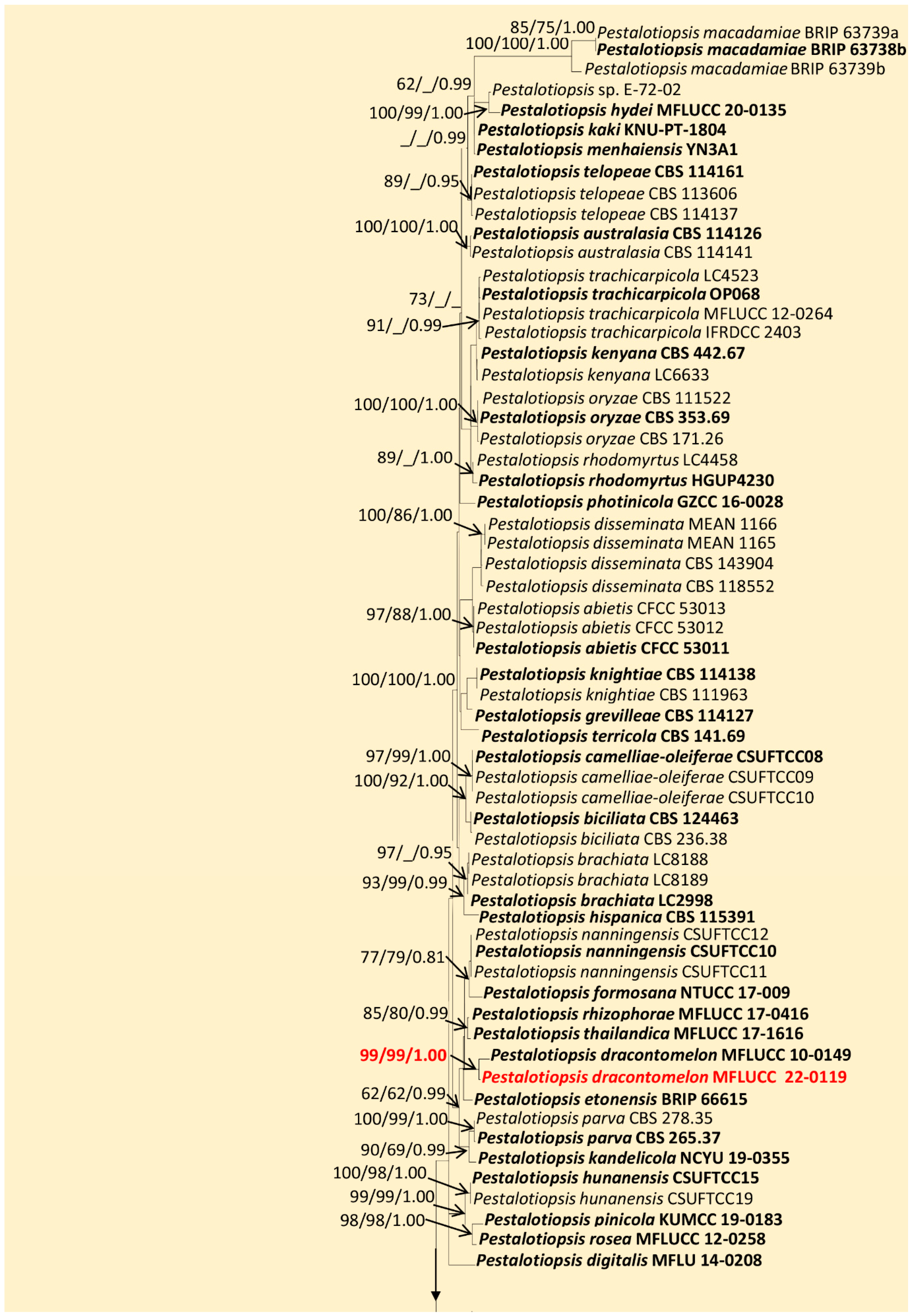 Jof 09 00625 g001a Jof 09 00625 g001a