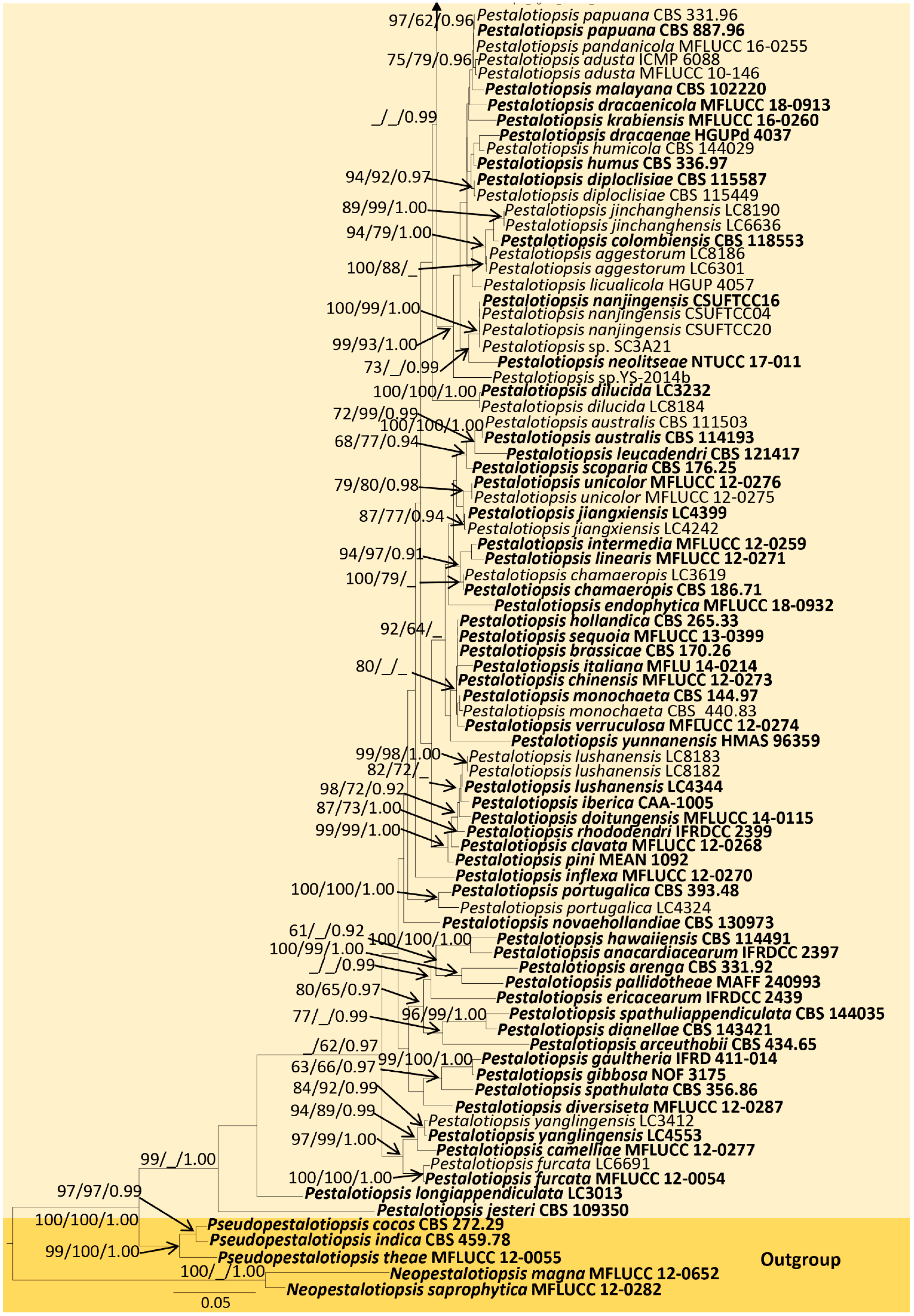 Jof 09 00625 g001b Jof 09 00625 g001b