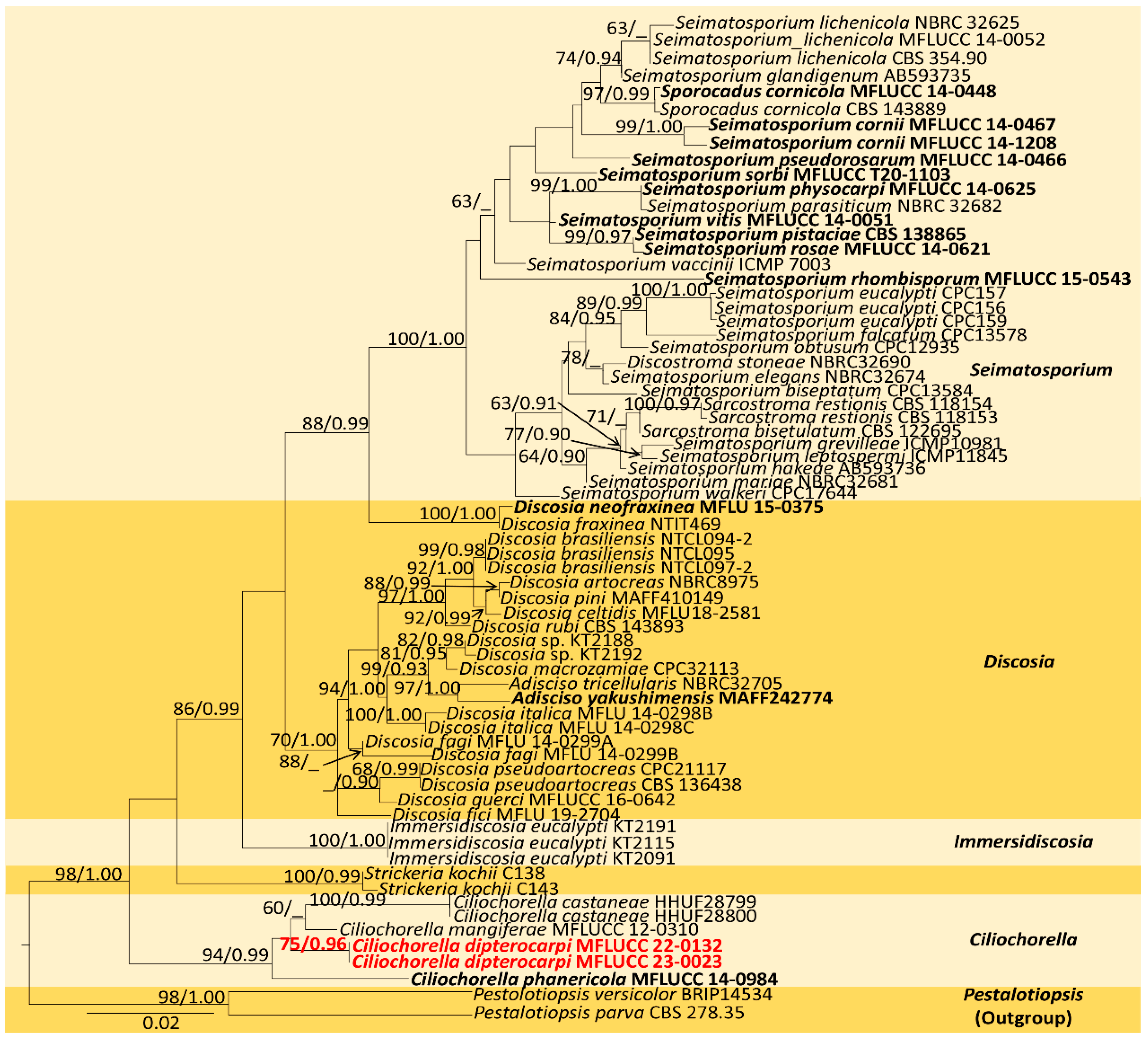 Jof 09 00625 g002 Jof 09 00625 g002