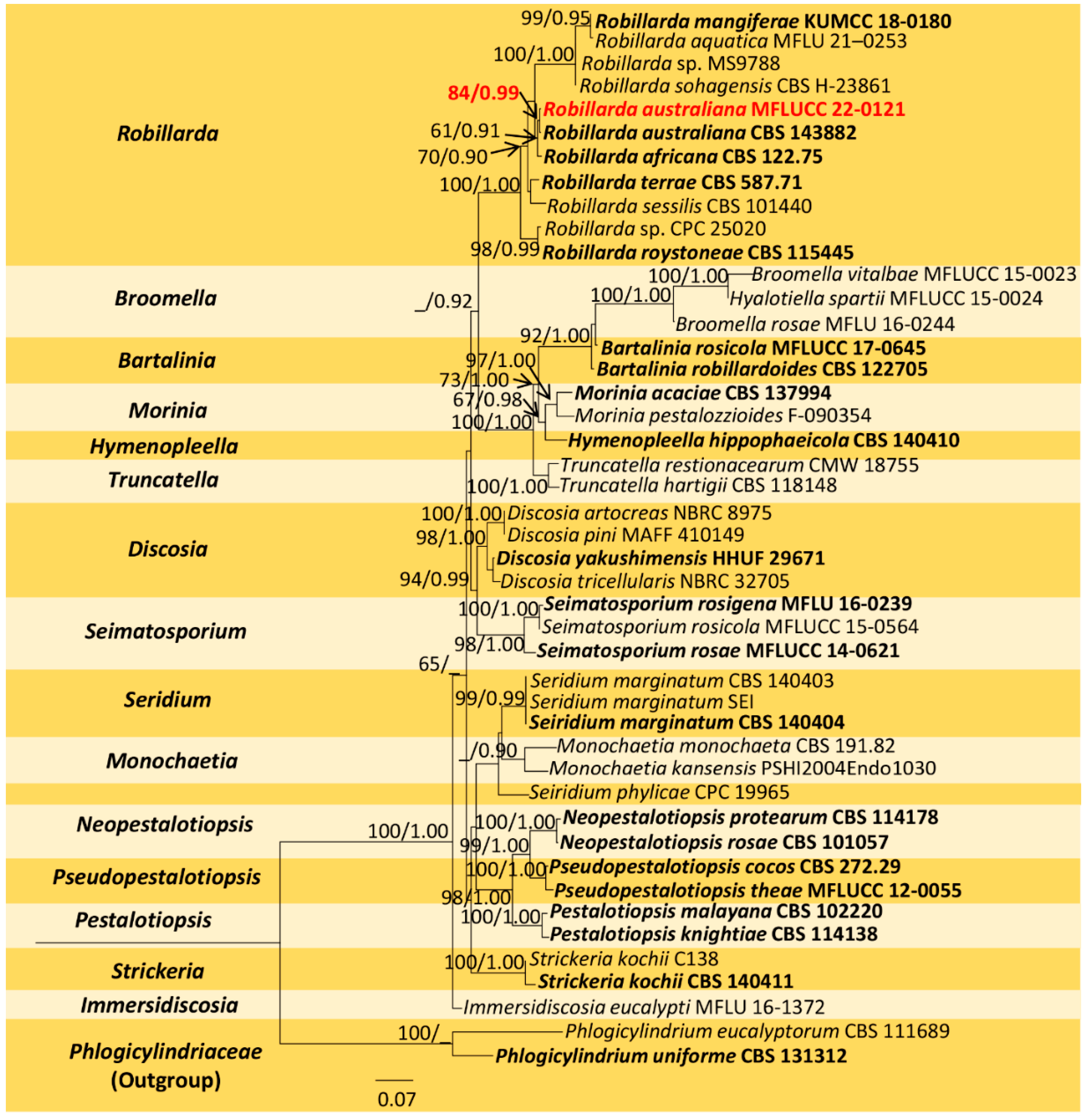 Jof 09 00625 g003 Jof 09 00625 g003