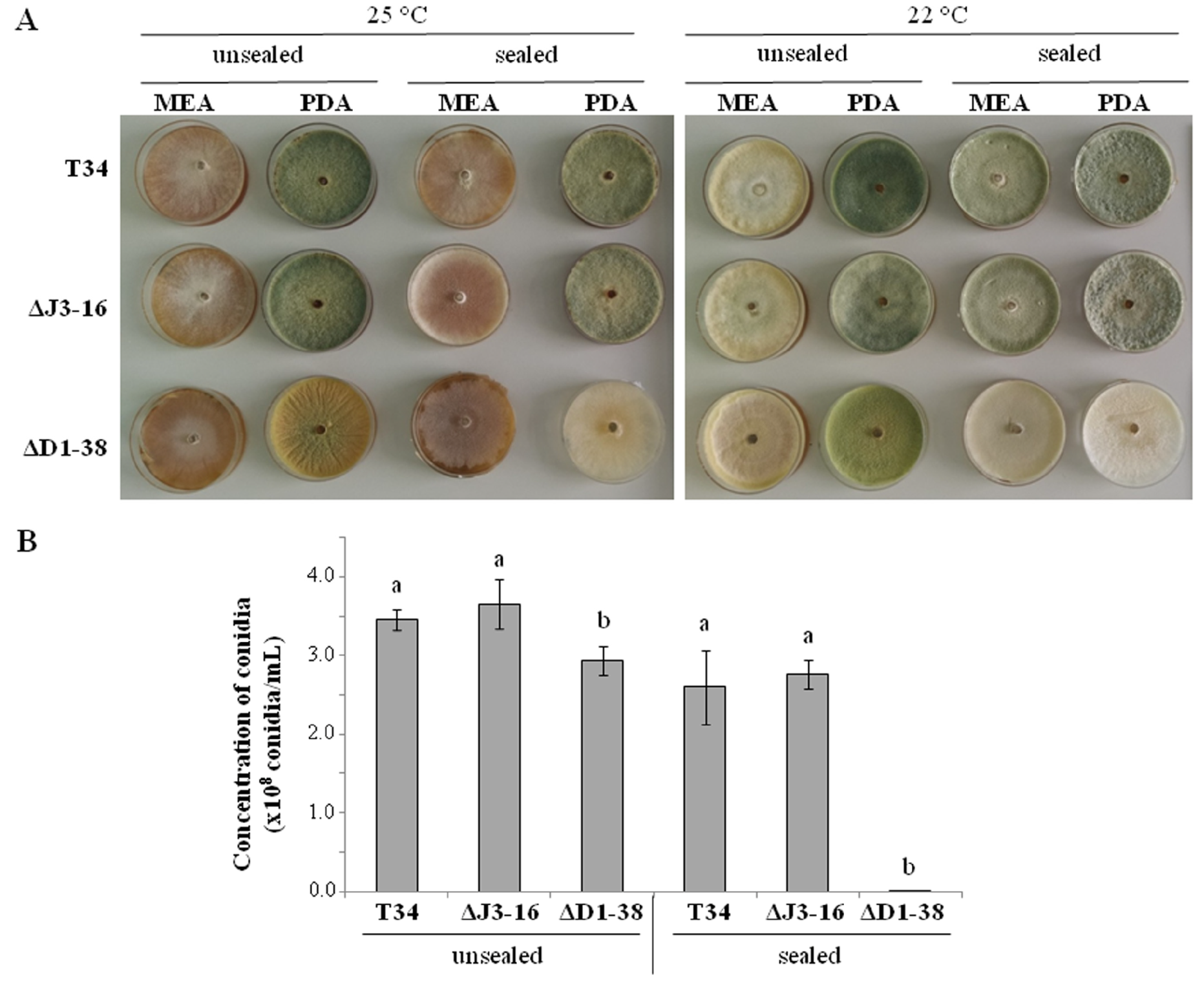 Jof 09 00654 g001 Jof 09 00654 g001