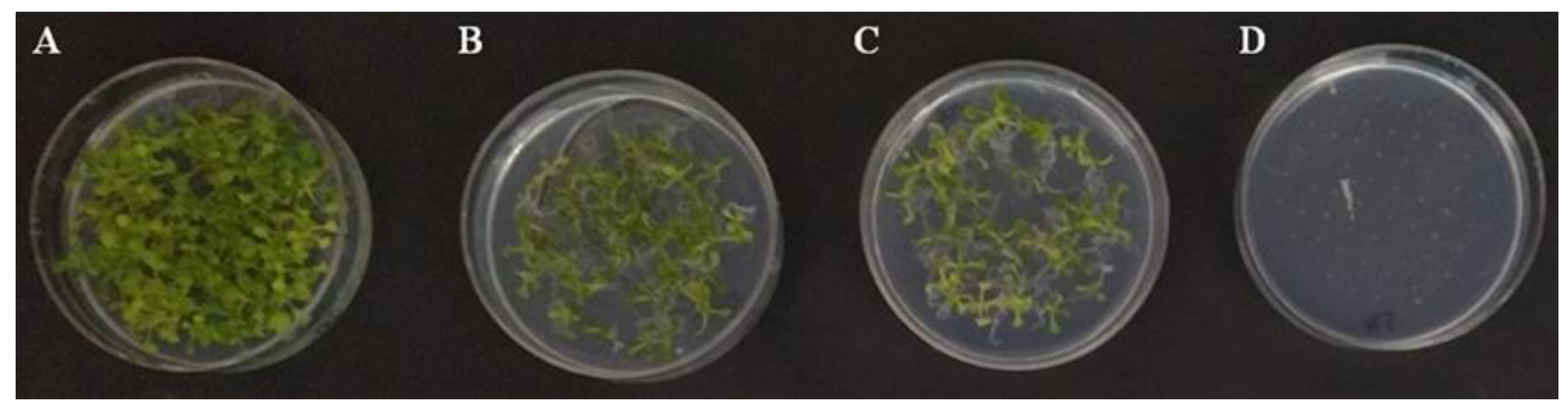 Jof 09 00654 g006 Jof 09 00654 g006