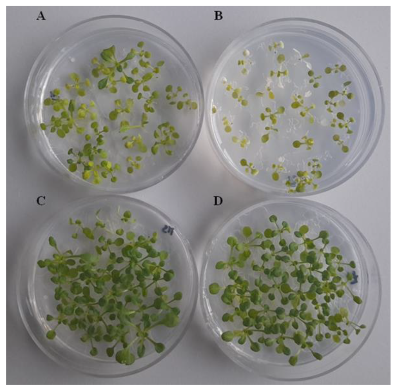 Jof 09 00654 g007 Jof 09 00654 g007