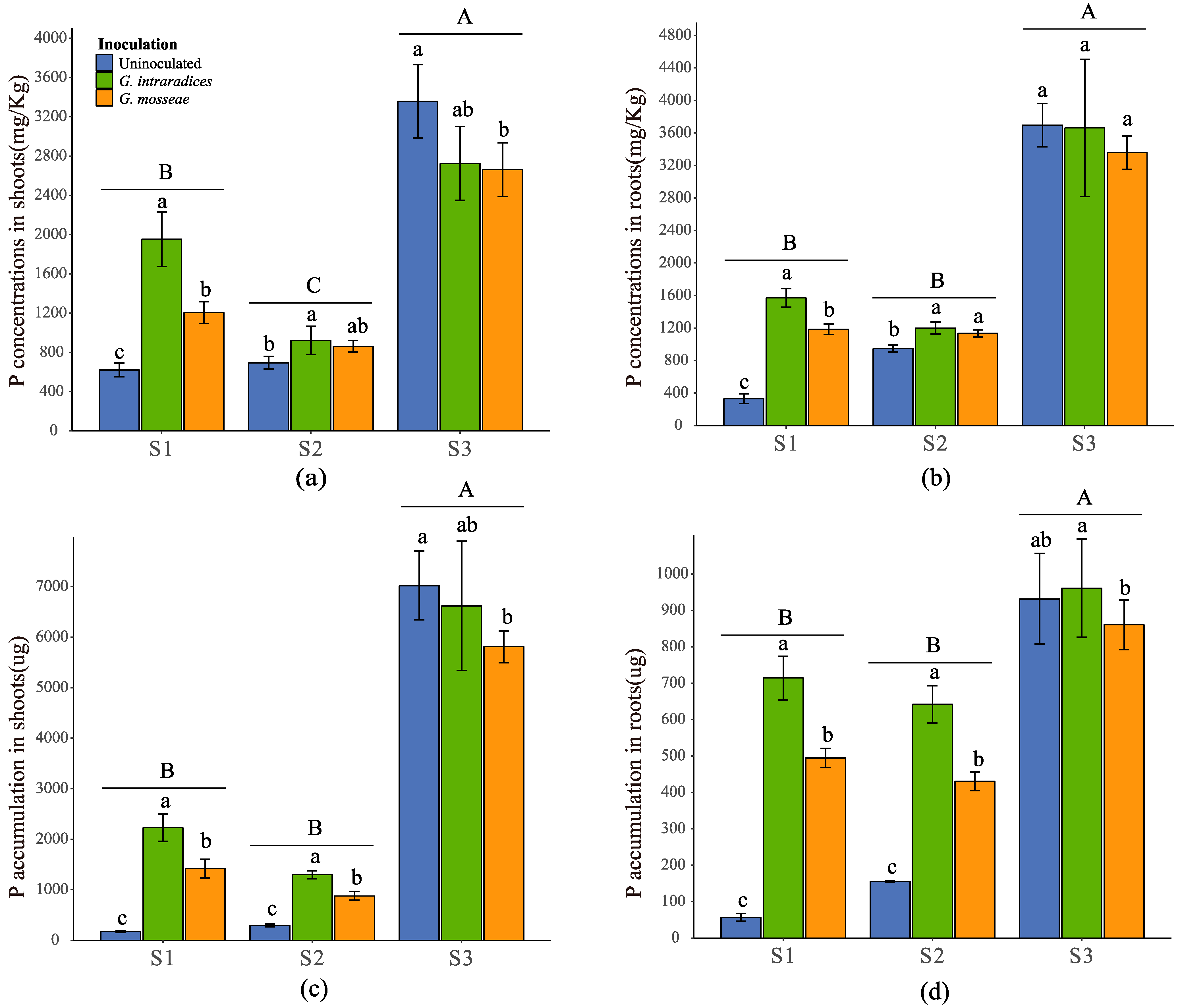 Jof 09 00684 g002 Jof 09 00684 g002