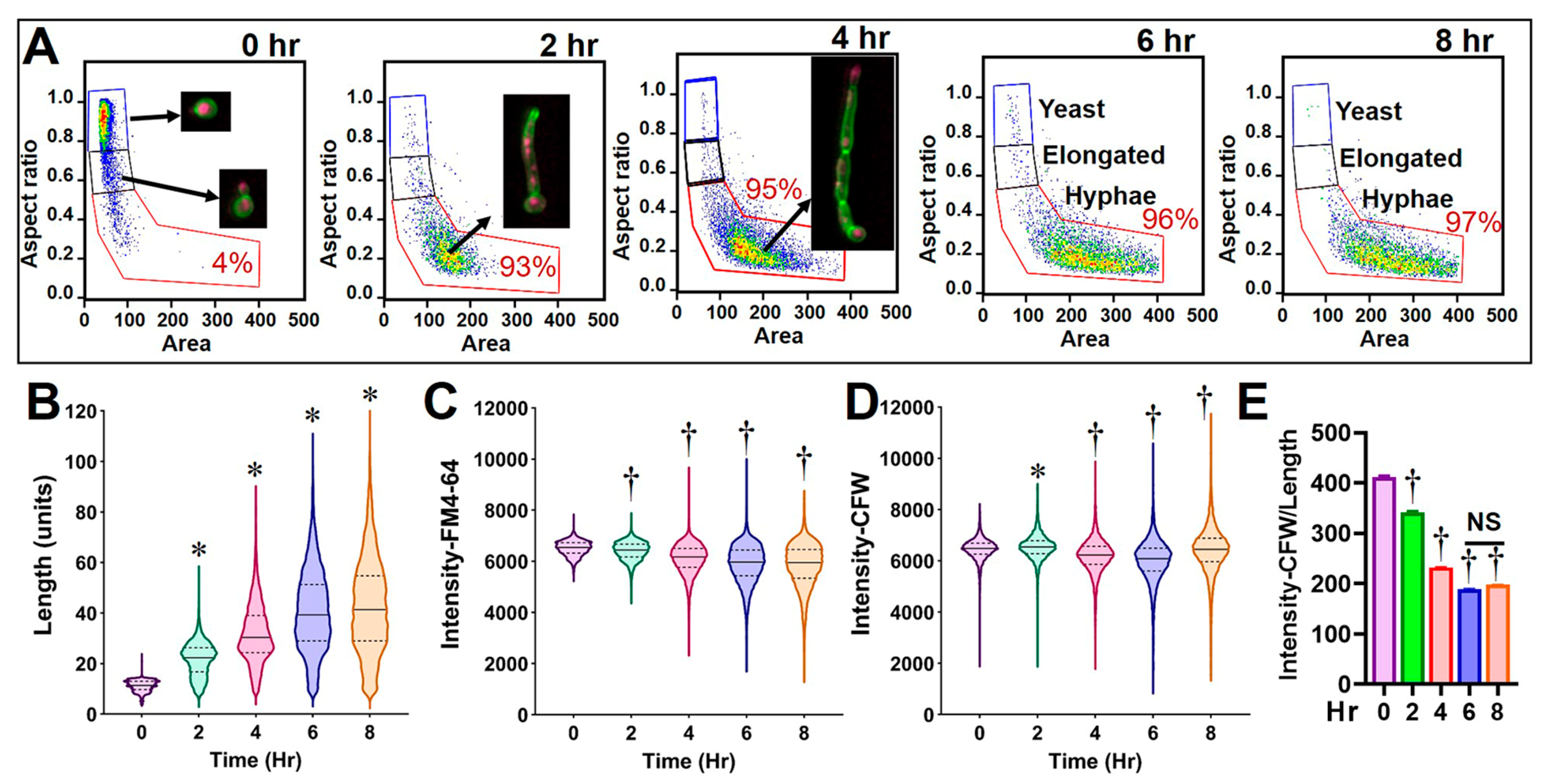 Jof 09 00722 g002 Jof 09 00722 g002