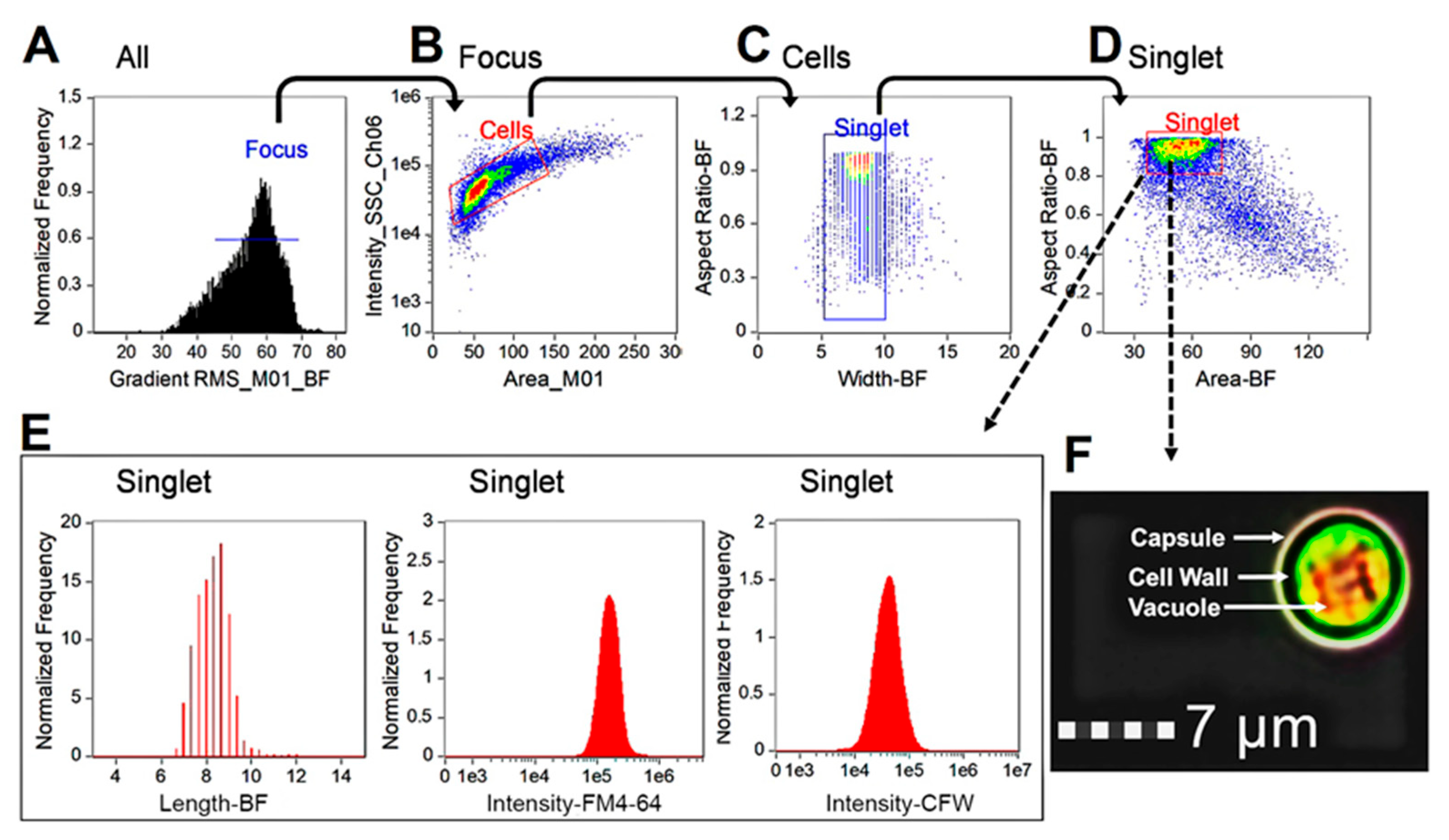 Jof 09 00722 g005 Jof 09 00722 g005