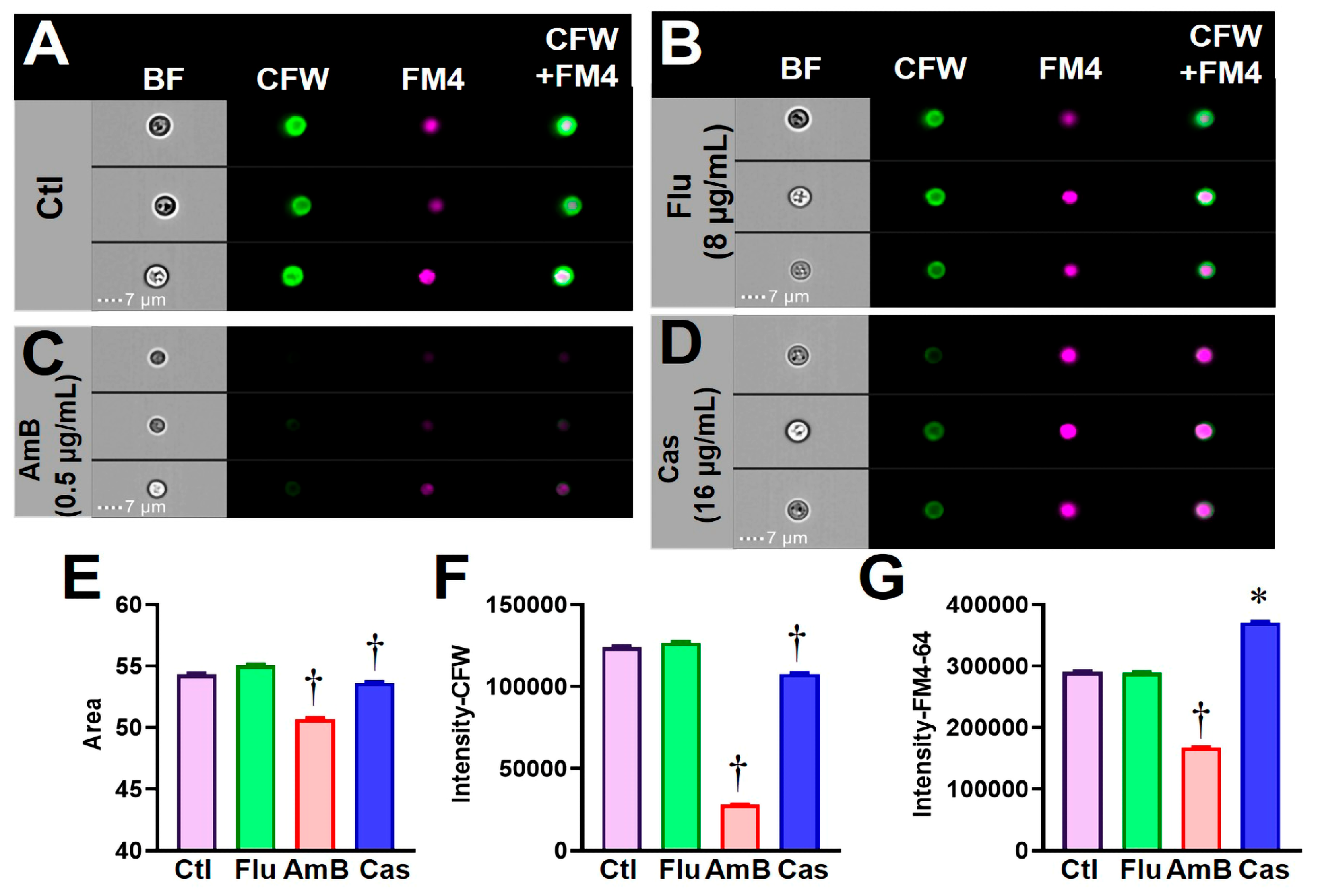Jof 09 00722 g006 Jof 09 00722 g006