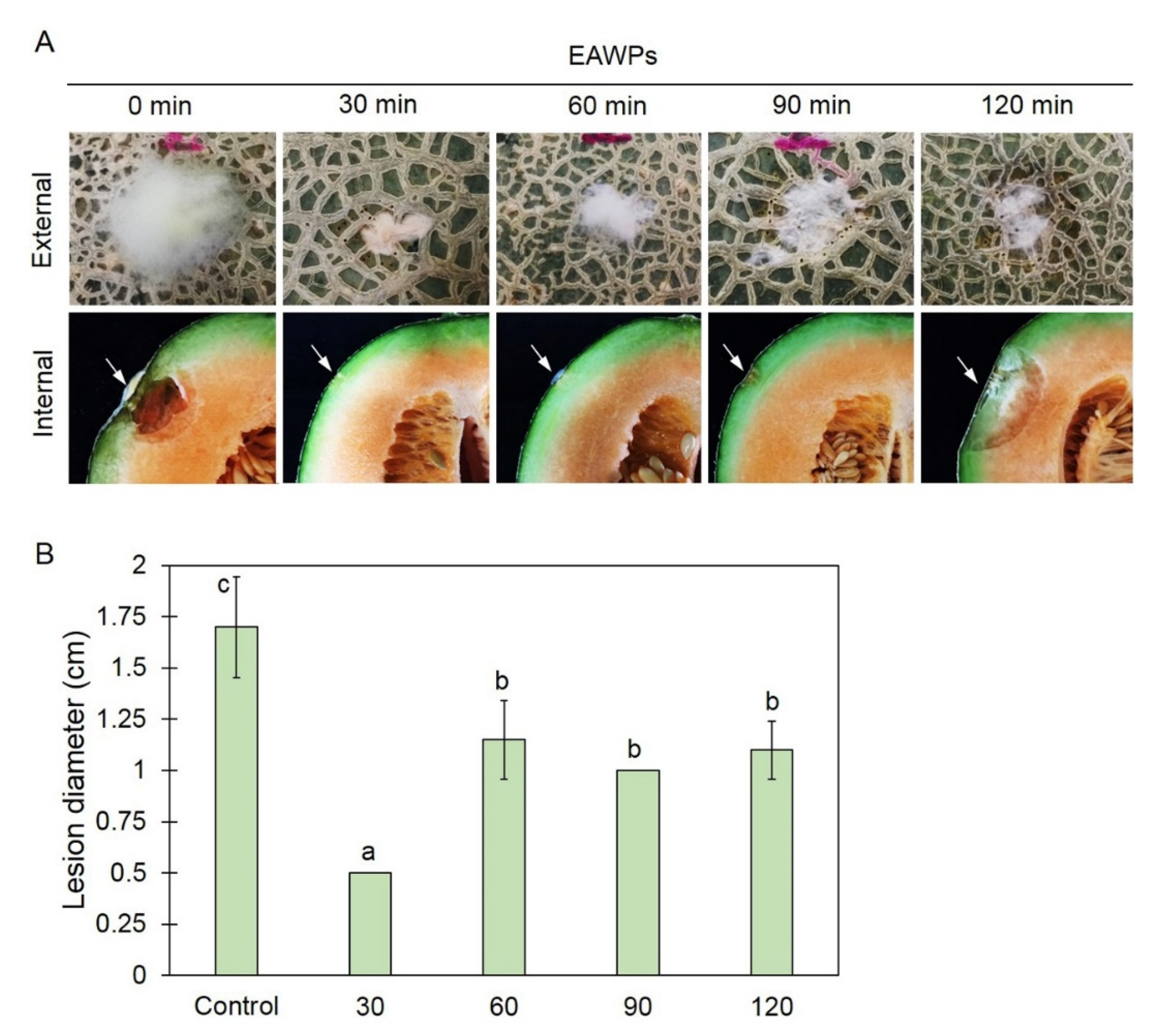 Jof 09 00745 g003 Jof 09 00745 g003
