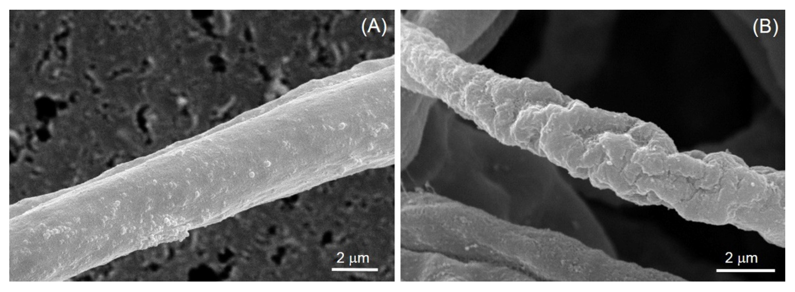 Jof 09 00745 g006 Jof 09 00745 g006