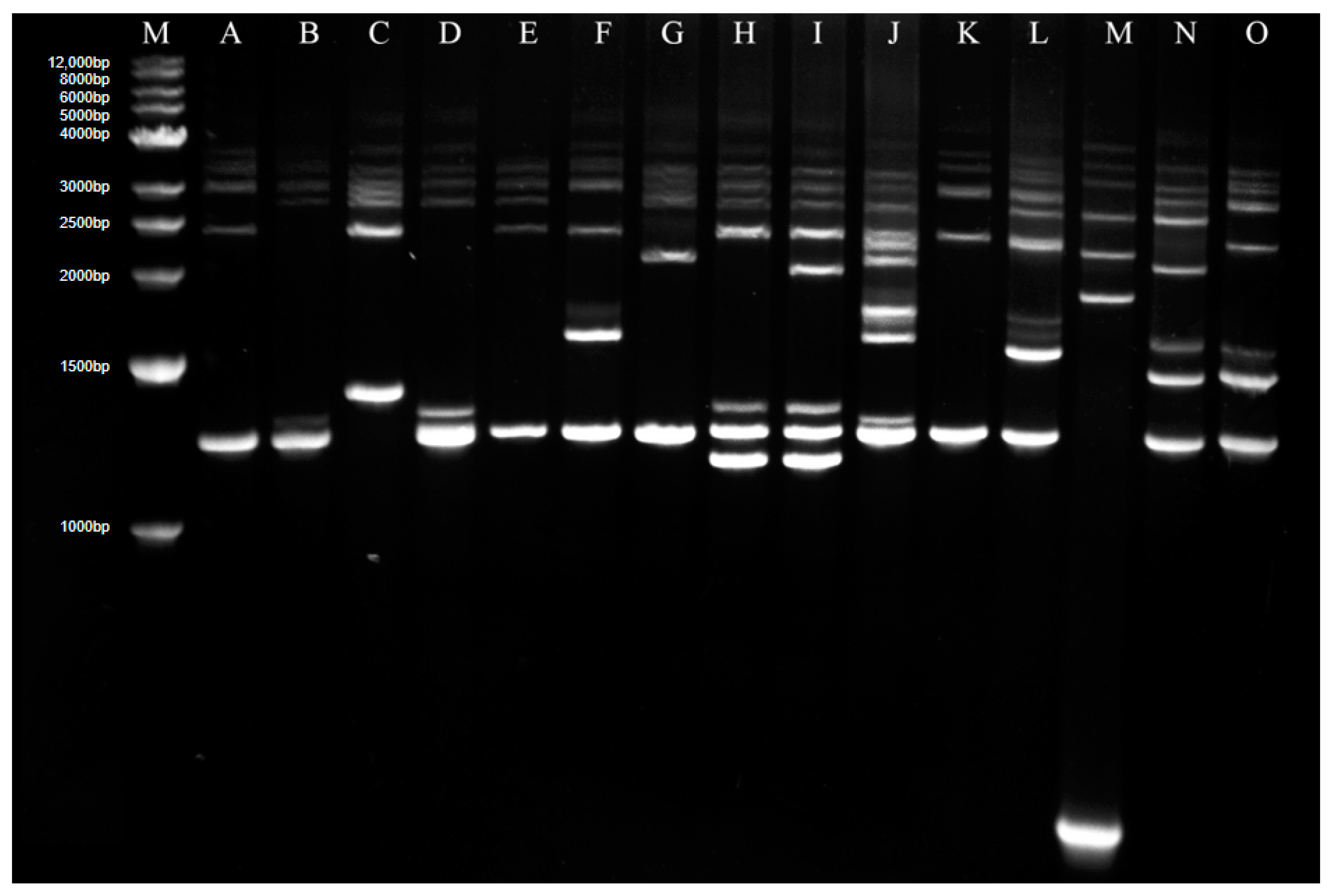 Jof 09 00776 g002 Jof 09 00776 g002