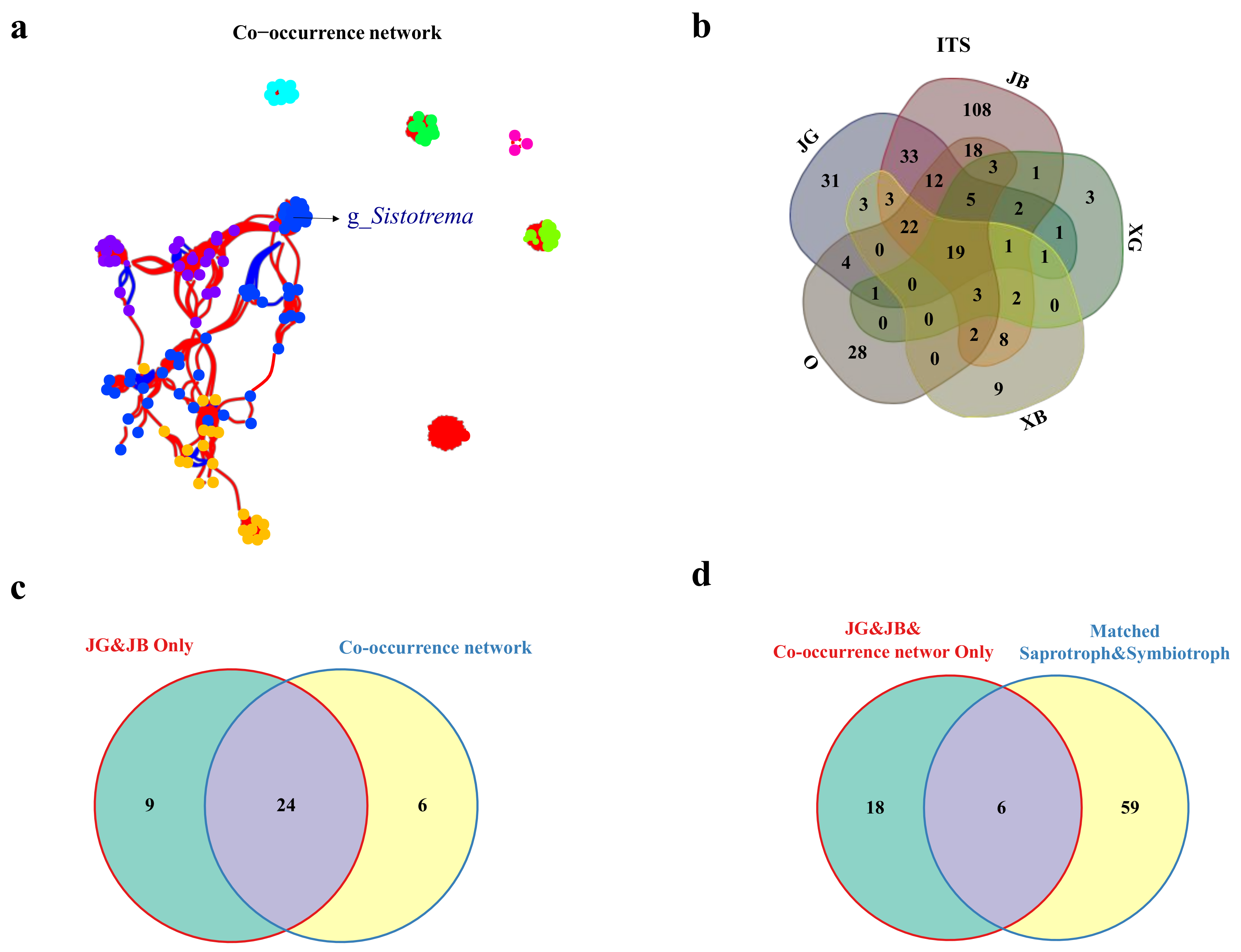 Jof 09 00779 g003 Jof 09 00779 g003