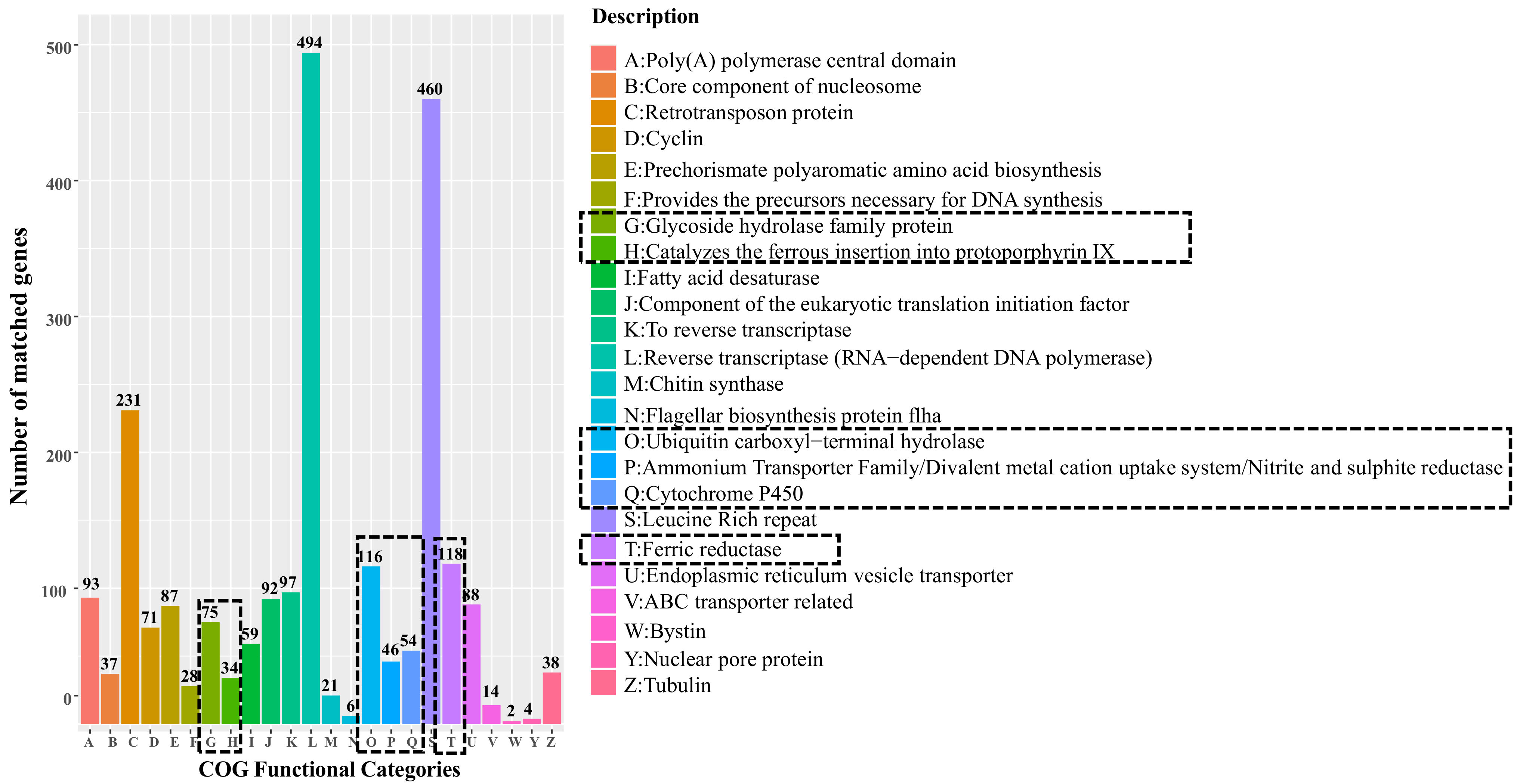 Jof 09 00779 g005 Jof 09 00779 g005