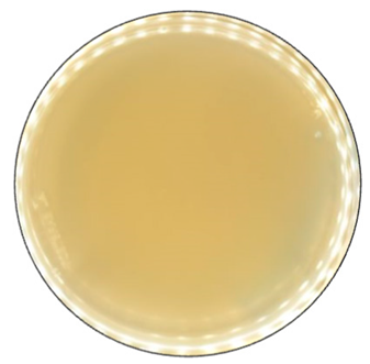 Jof 09 00780 i002 Jof 09 00780 i002