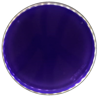 Jof 09 00780 i003 Jof 09 00780 i003