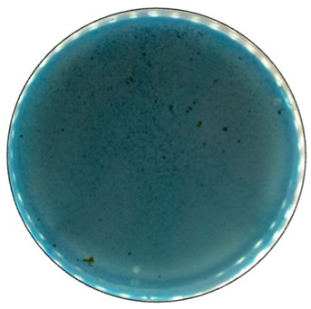 Jof 09 00780 i006 Jof 09 00780 i006