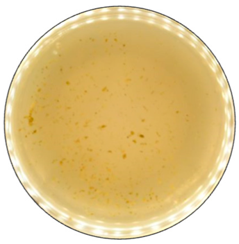 Jof 09 00780 i007 Jof 09 00780 i007