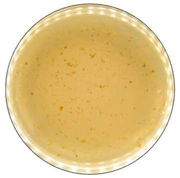 Jof 09 00780 i008 Jof 09 00780 i008