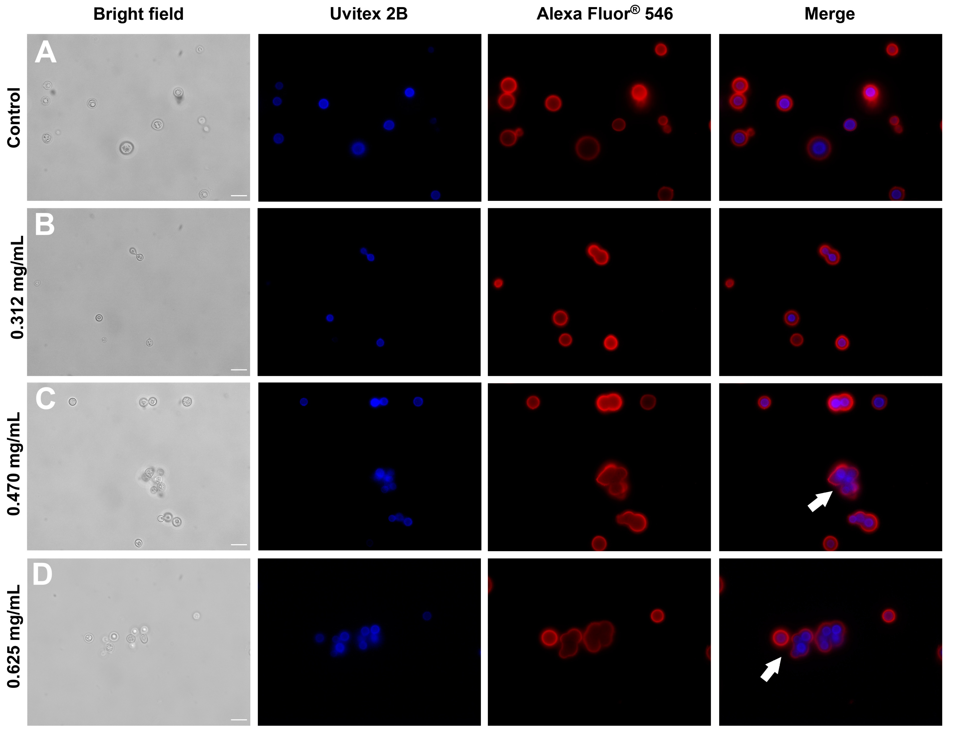 Jof 09 00783 g003 Jof 09 00783 g003
