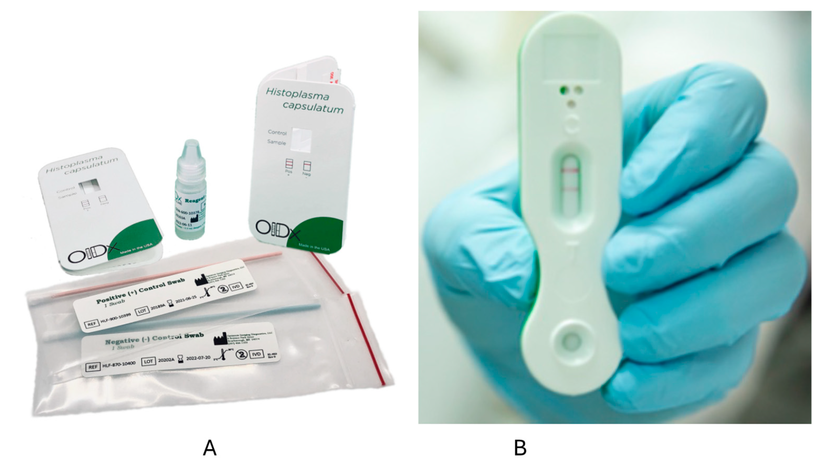 Jof 09 00793 g001 Jof 09 00793 g001