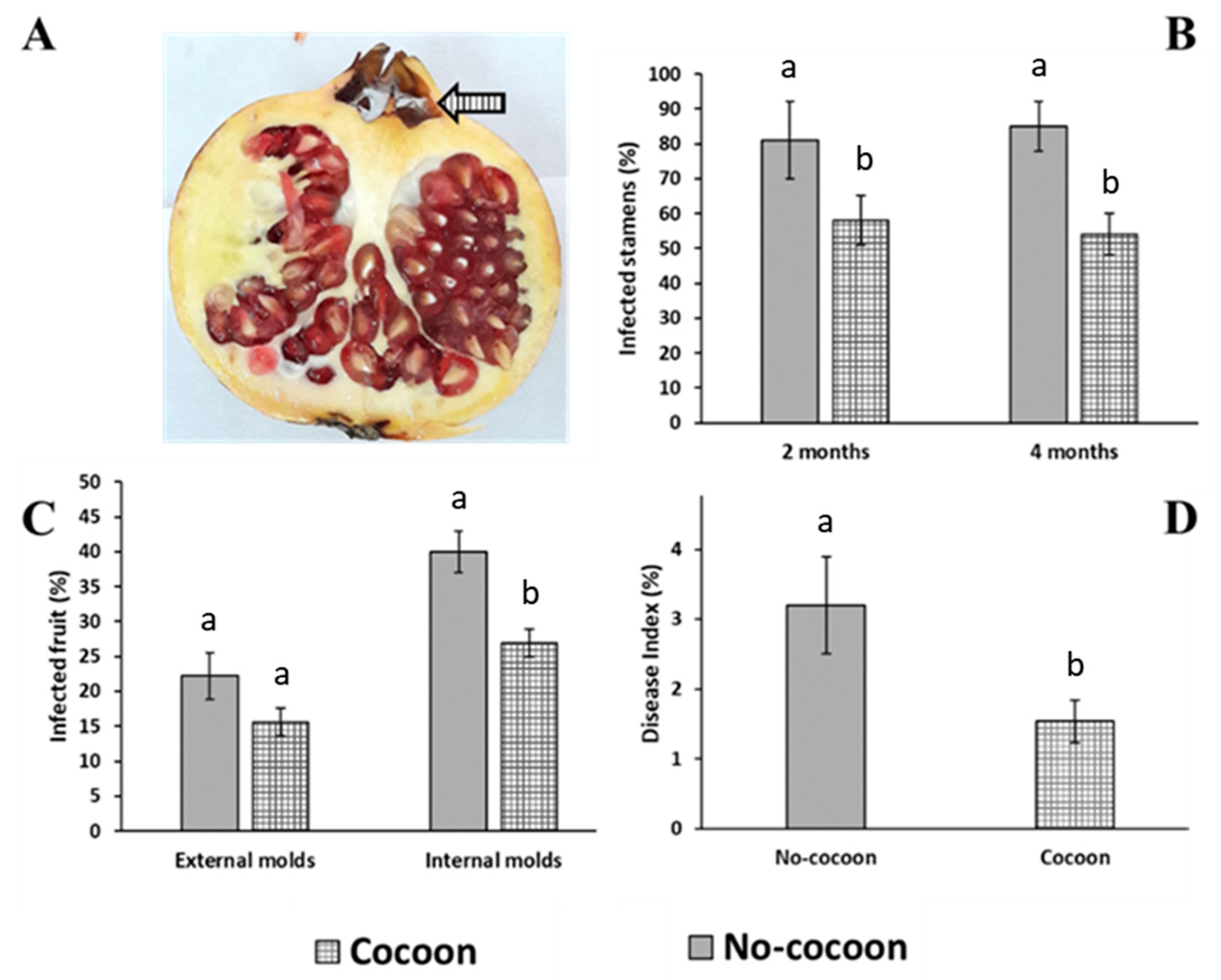 Jof 09 00808 g003 Jof 09 00808 g003
