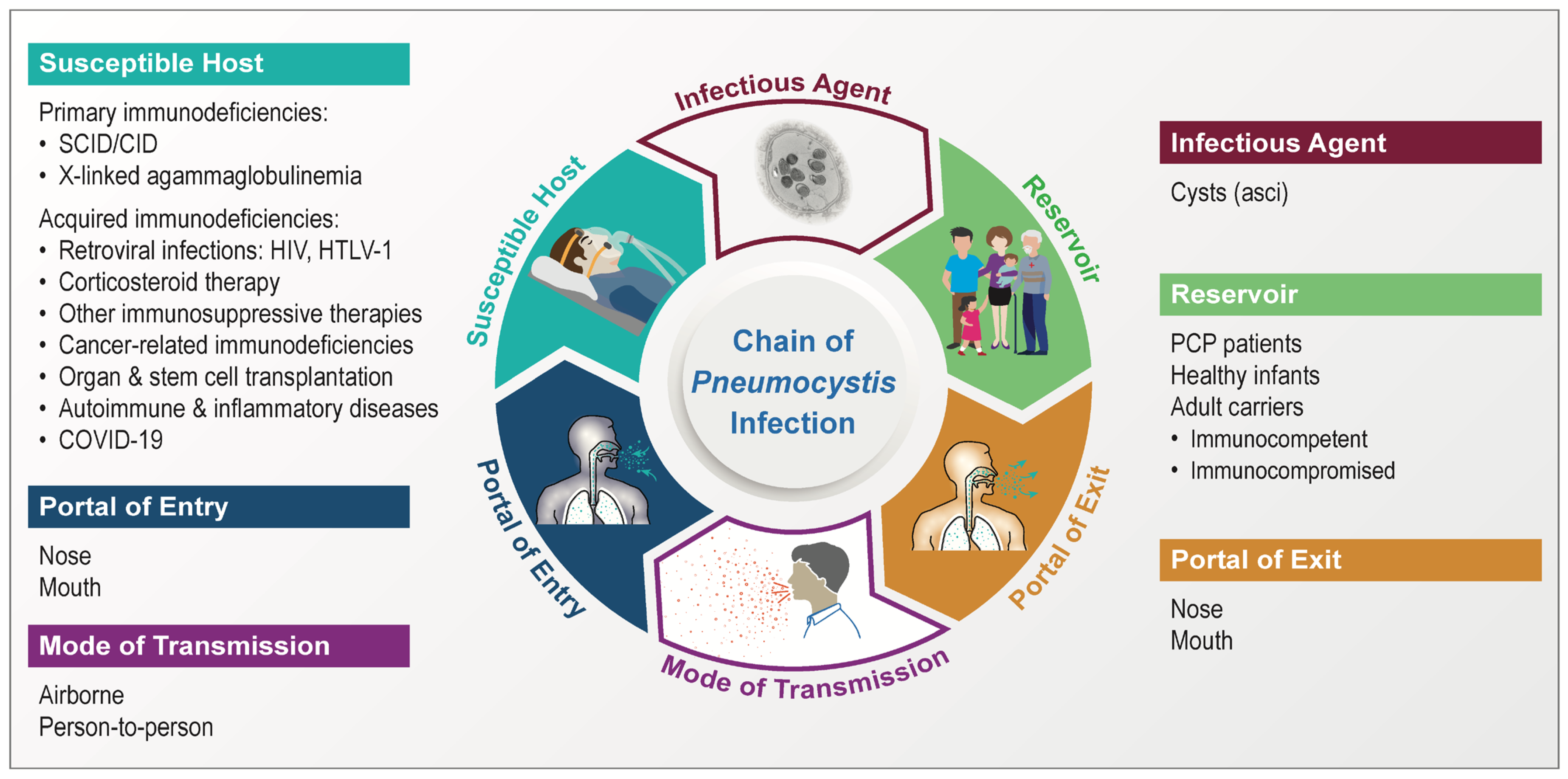 Jof 09 00812 g001 Jof 09 00812 g001