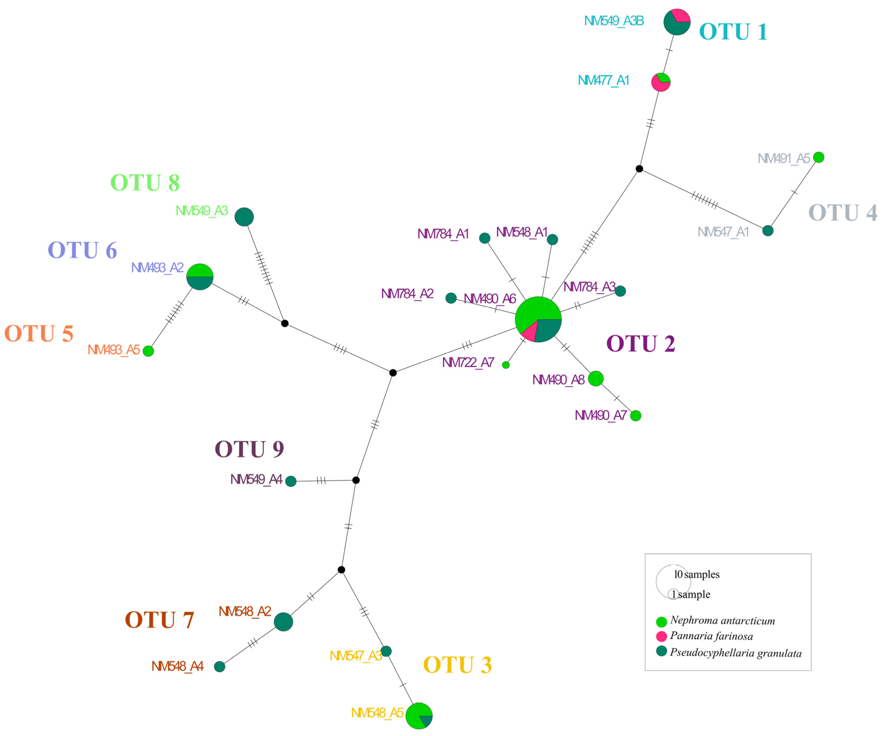 Jof 09 00826 g002 Jof 09 00826 g002