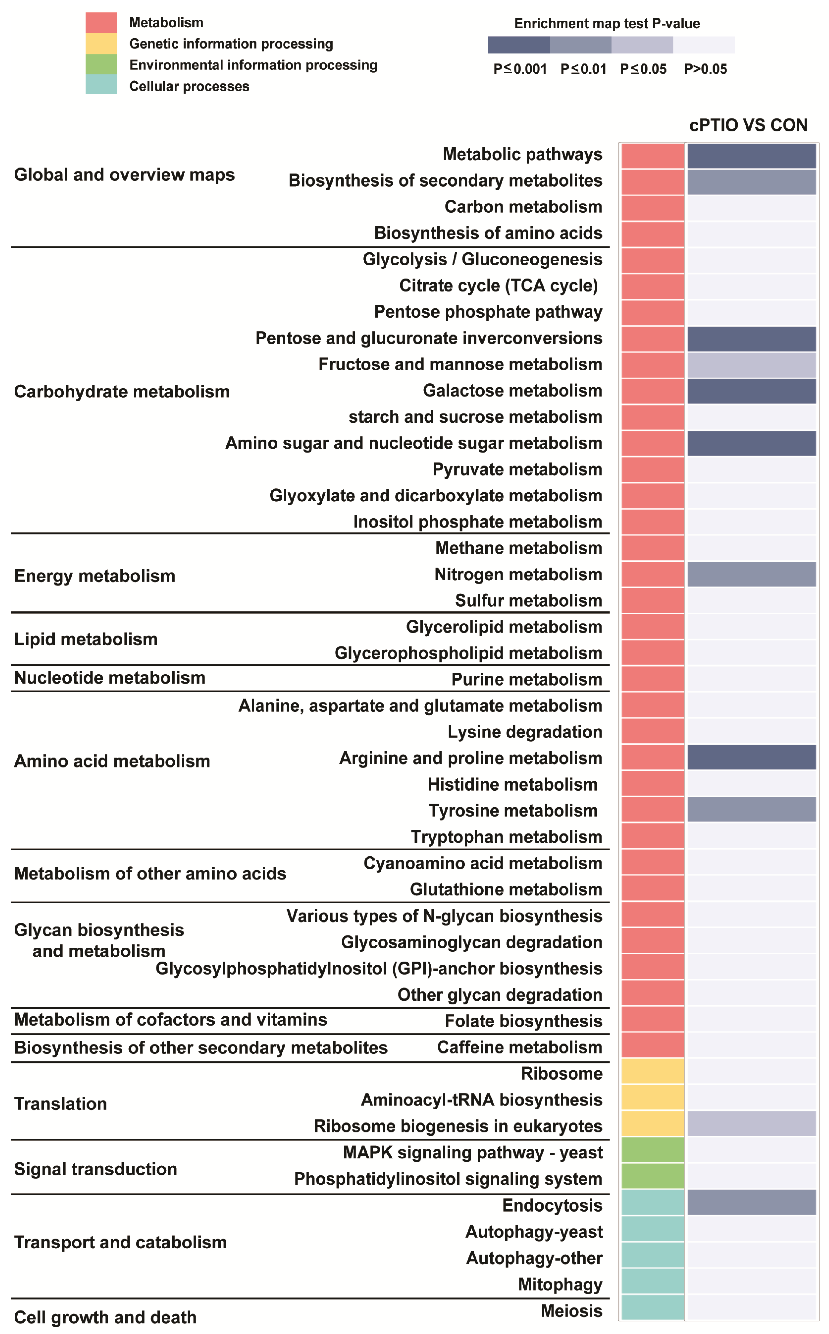 Jof 09 00985 g005 Jof 09 00985 g005