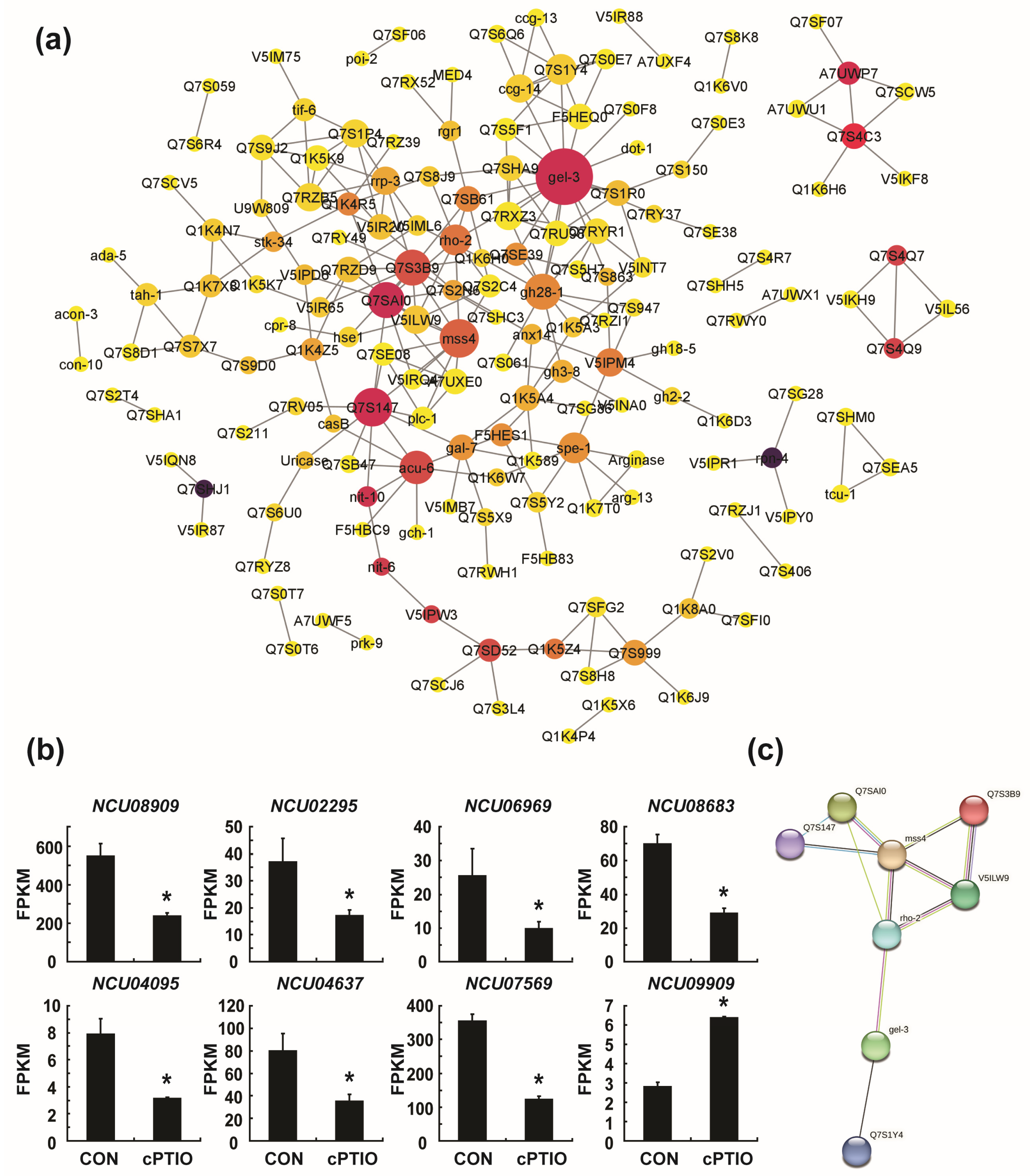 Jof 09 00985 g007 Jof 09 00985 g007