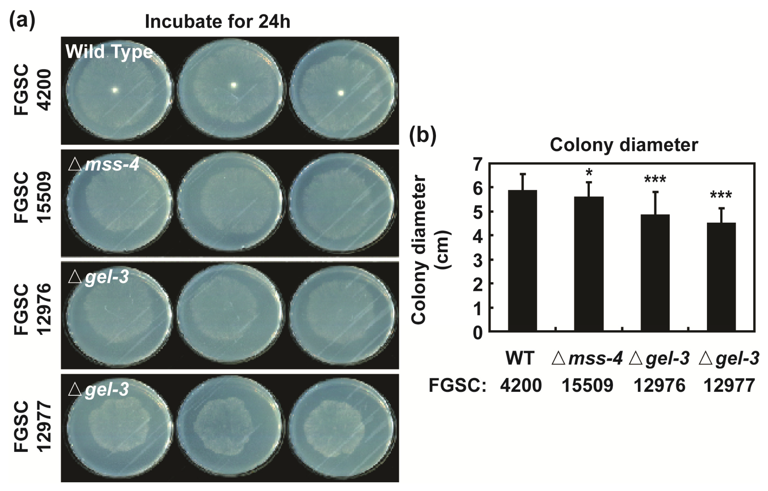 Jof 09 00985 g008 Jof 09 00985 g008