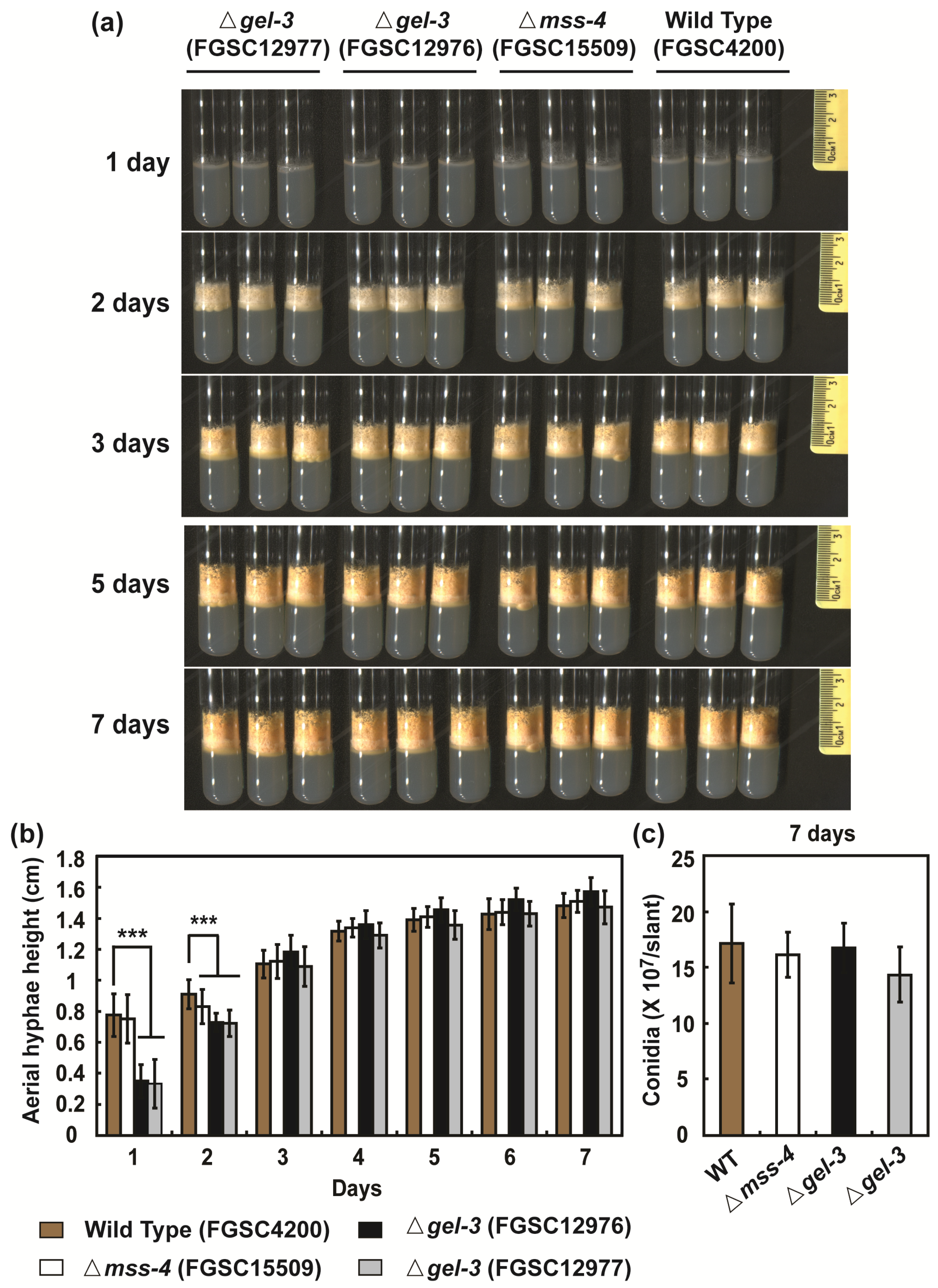 Jof 09 00985 g009 Jof 09 00985 g009