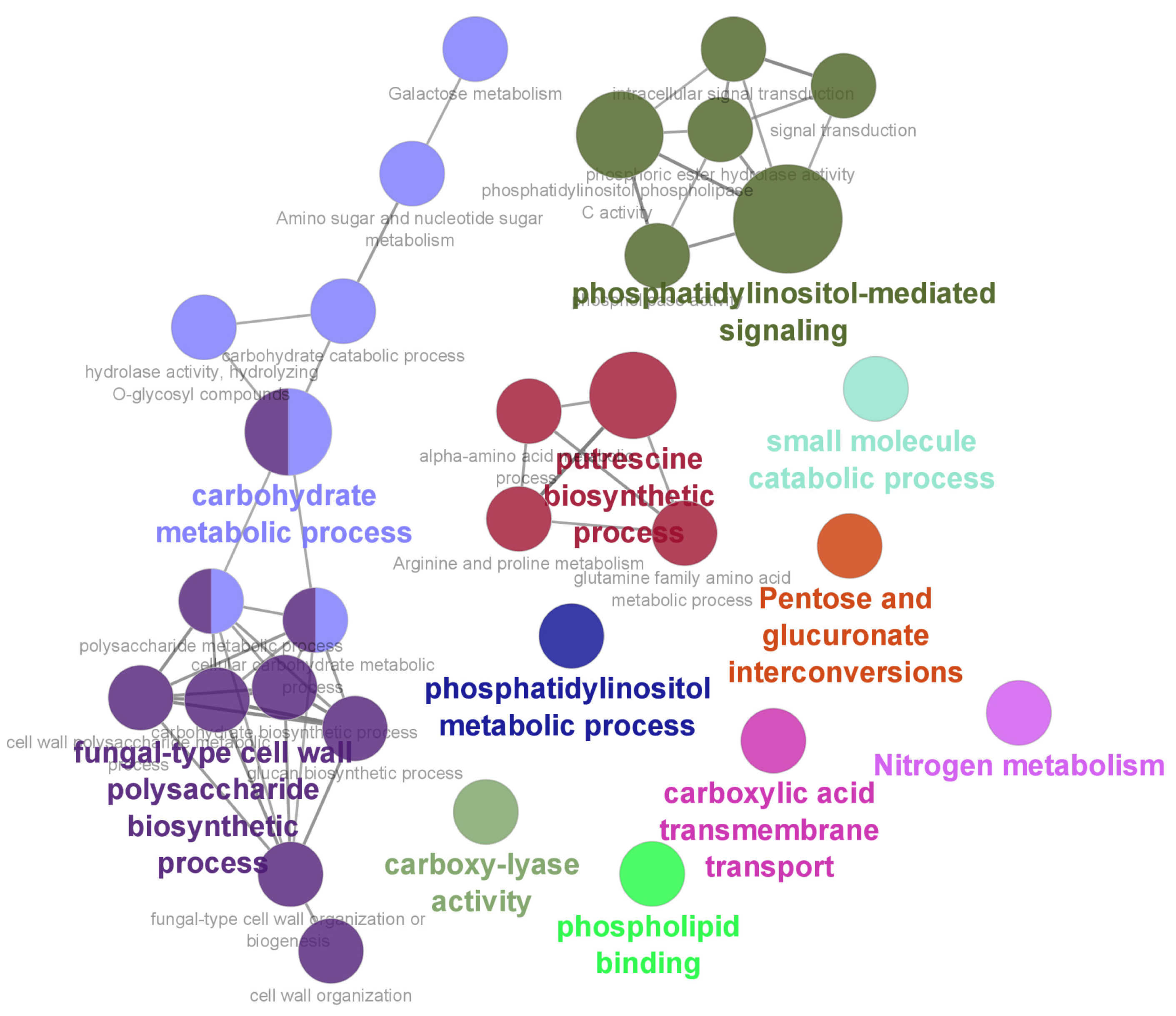Jof 09 00985 g010 Jof 09 00985 g010