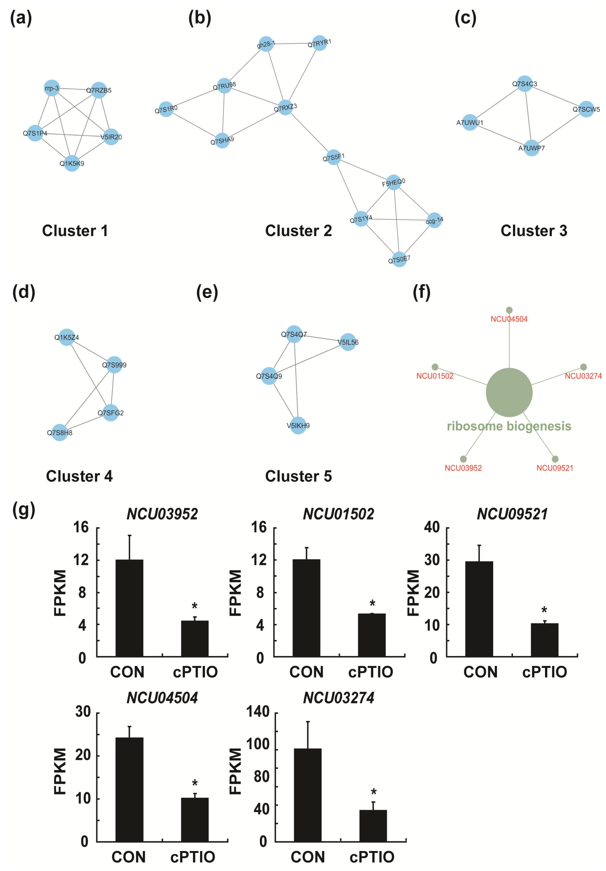 Jof 09 00985 g011 Jof 09 00985 g011